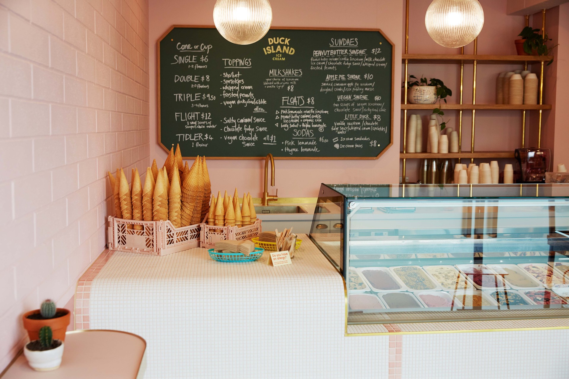 Duck Island has shops in Auckland, Hamilton and Wellington. Photo / Rebecca Zephyr Thomas