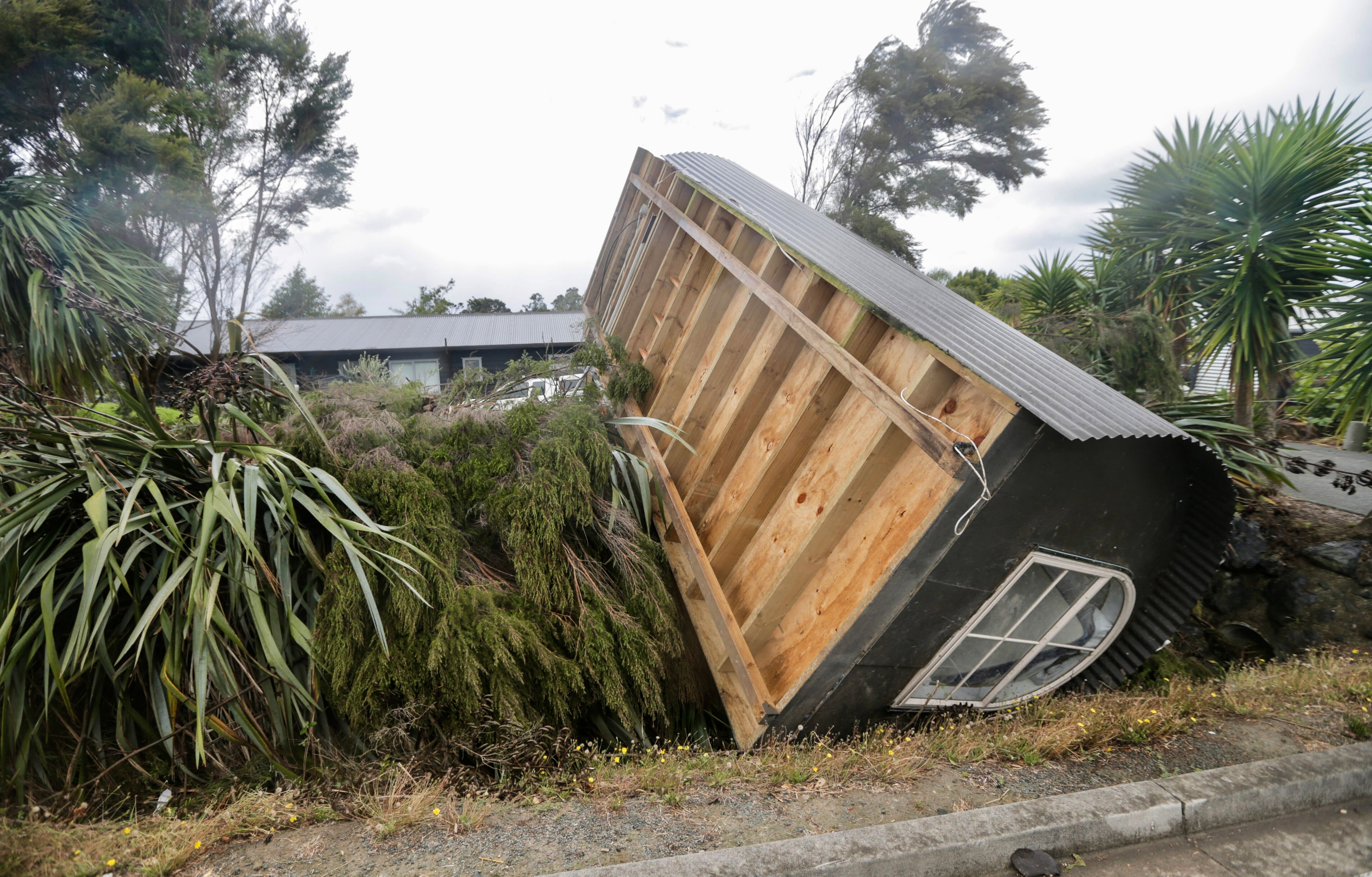 Trees were snapped in half and a cabin tossed like a toy, making Mangawhai's tornado-inflicted damage the worst fire veteran Wipari Henwood has seen. Photo / Alex Burton