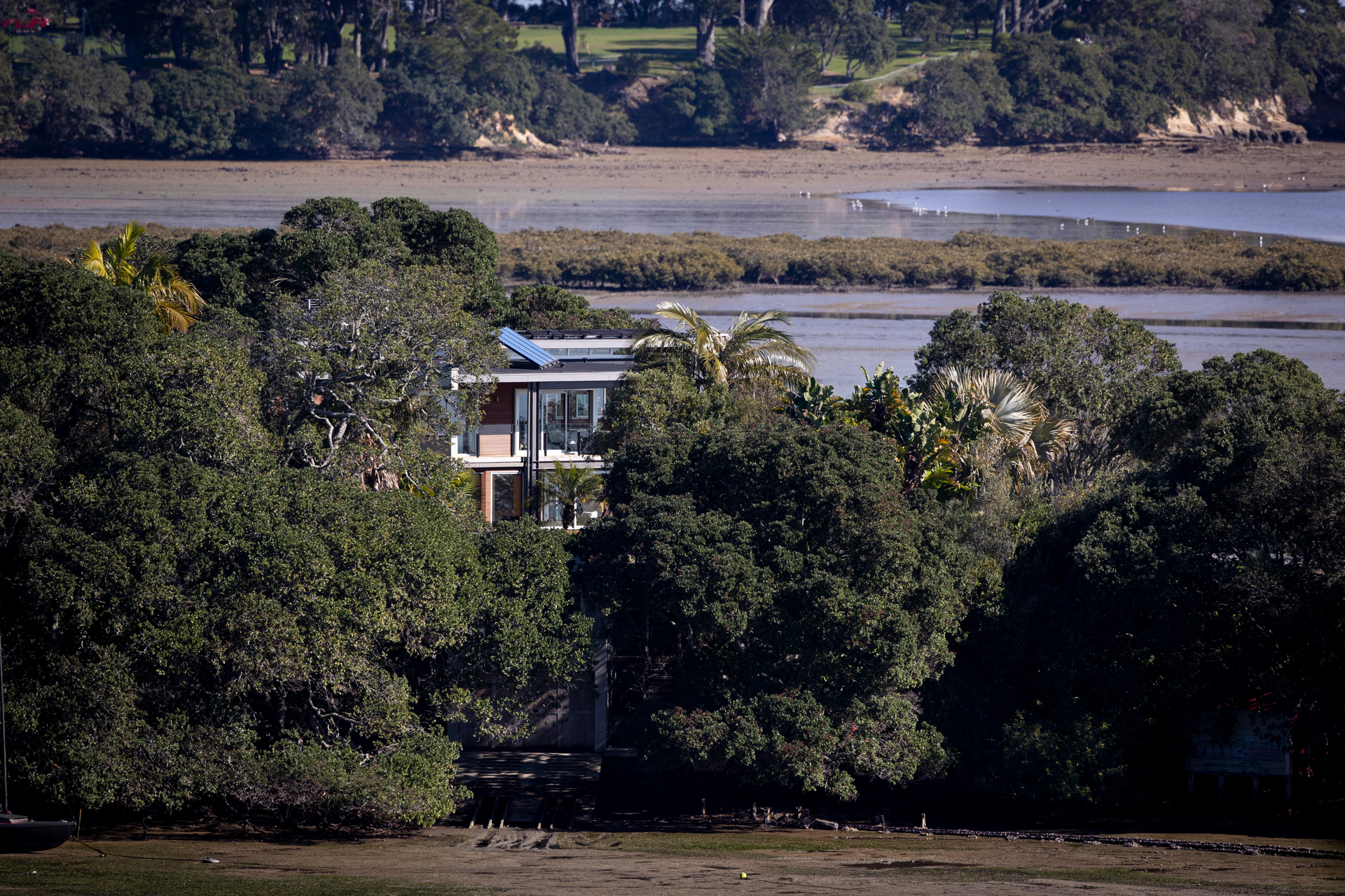 The Westmere property where a helicopter pad consent is sought. Photo / Dean Purcell