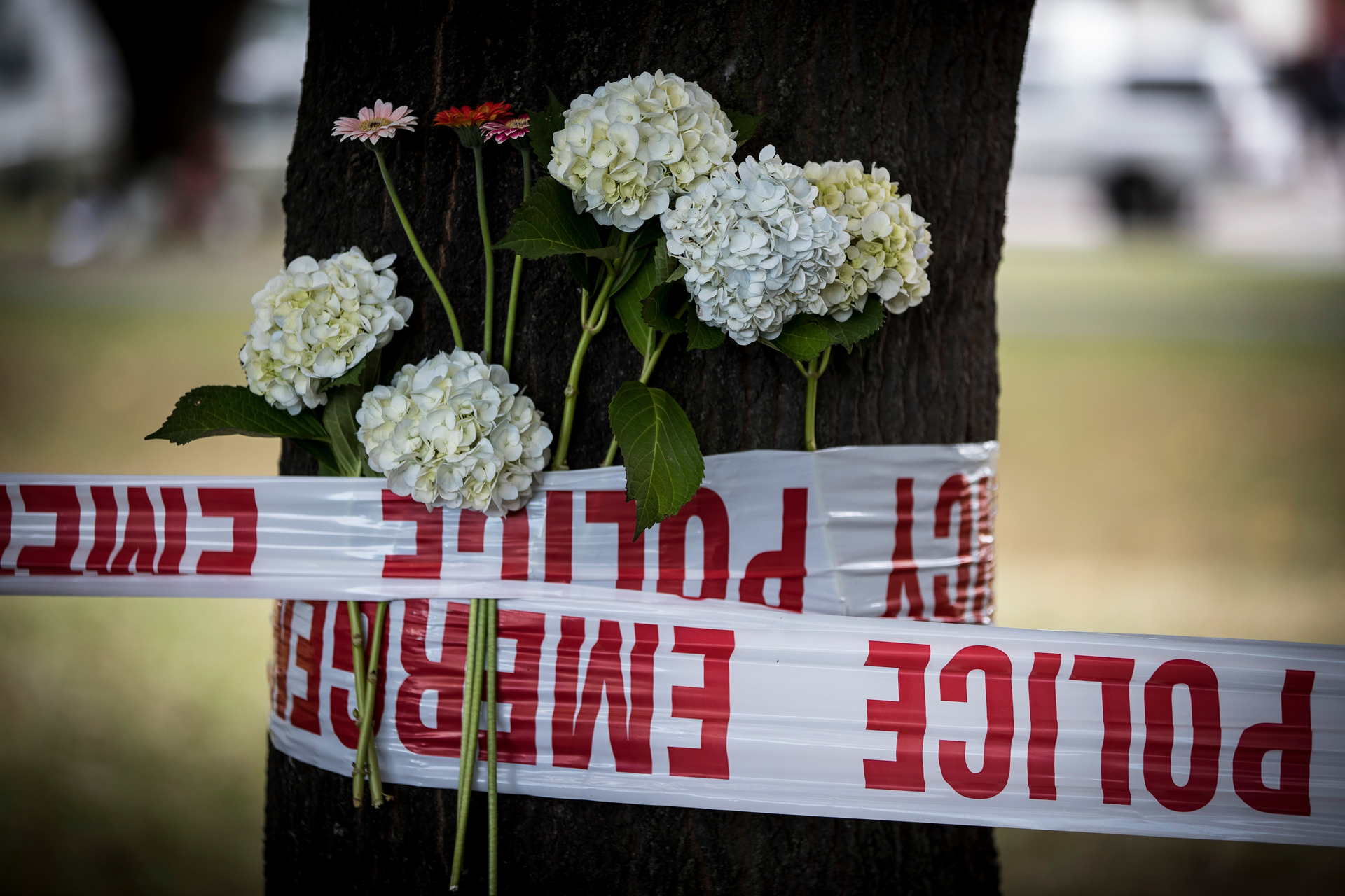 Flower tributes near Deans Ave Masjid Al Noor, Hagley Park after the Christchurch mosque shootings. Photo / NZ Herald