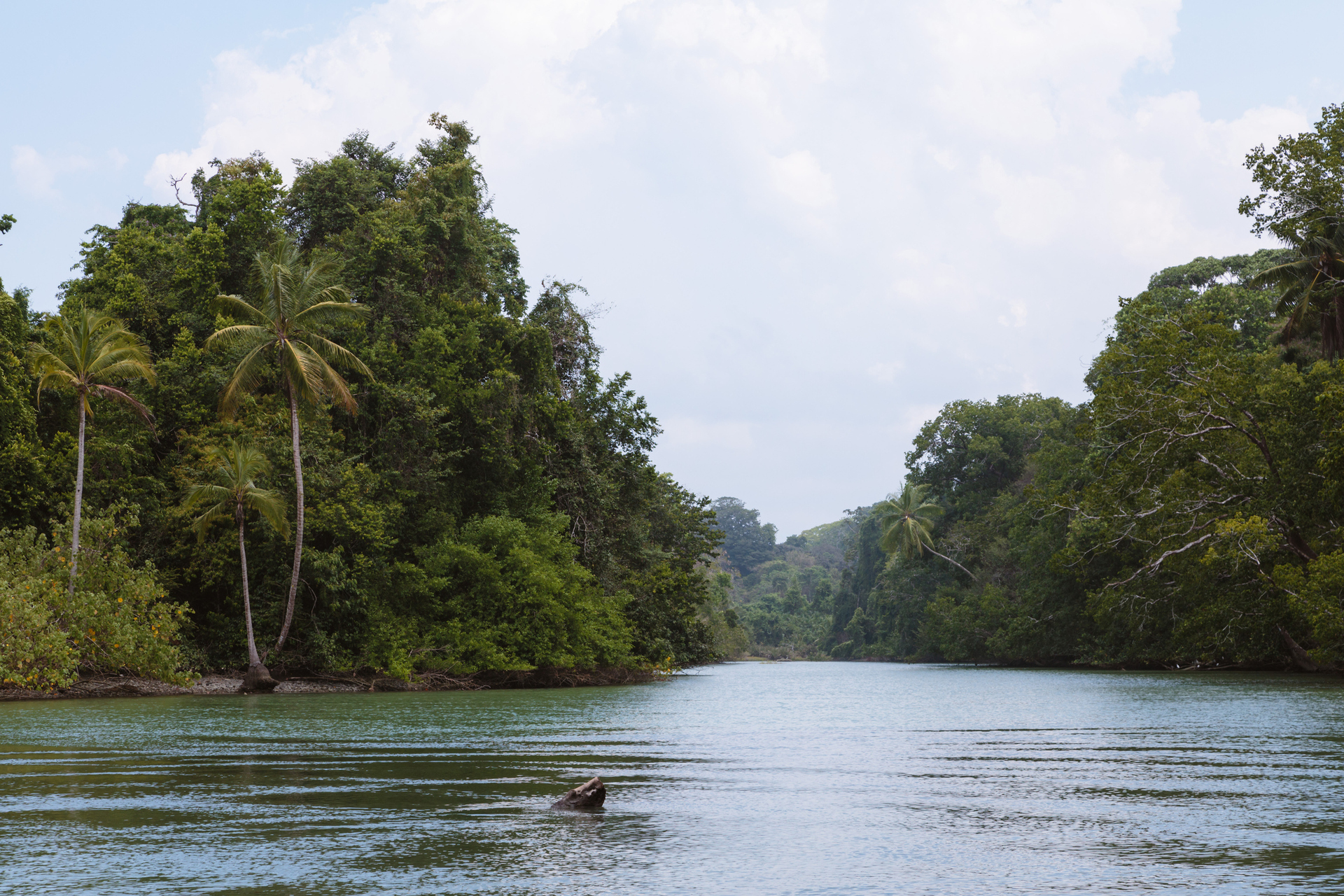 Nature-lovers are sure to enjoy Corcovado National Park, Costa Rica. Photo / Getty