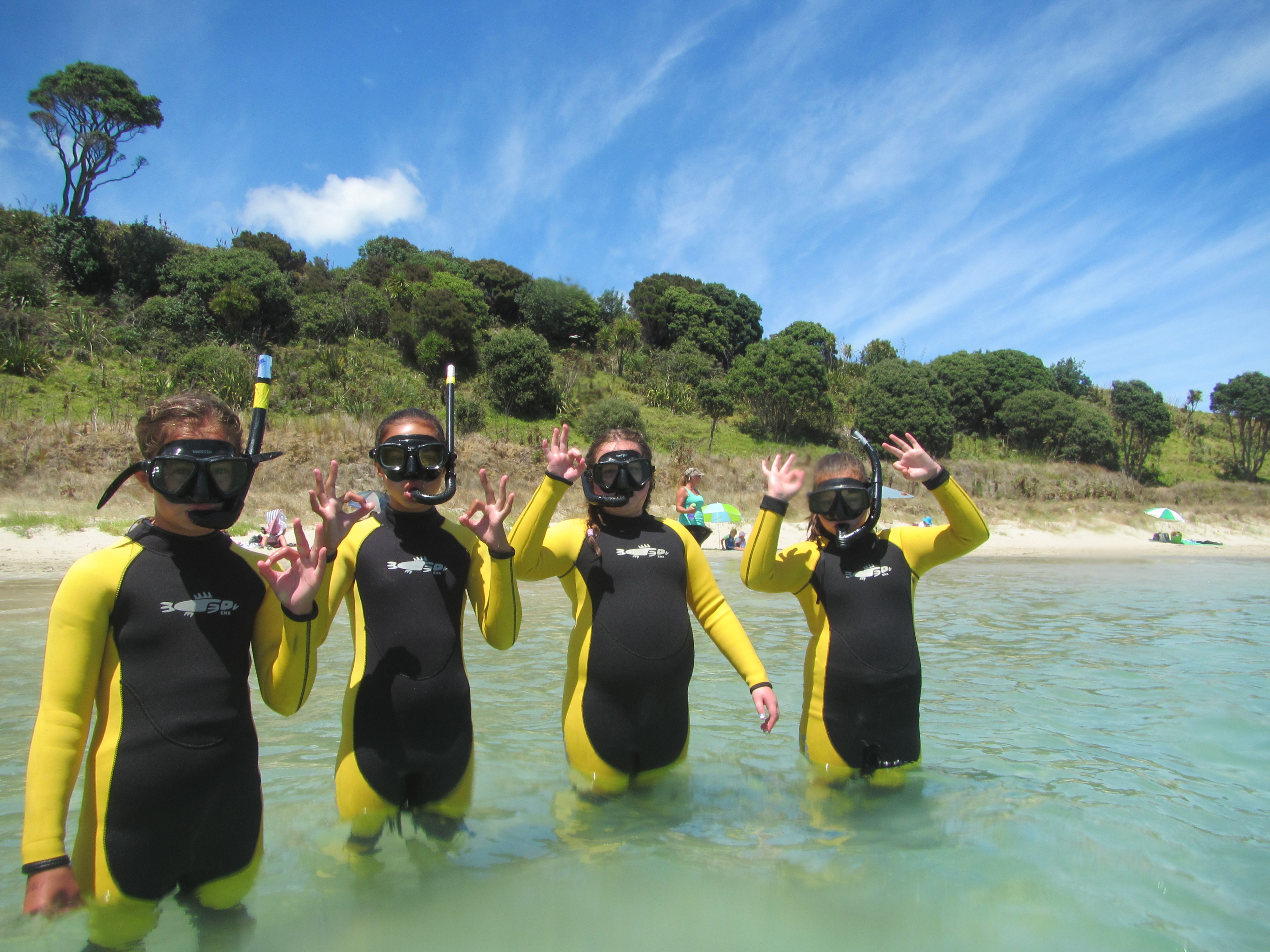 Past snorkelling day participants explored a rocky reef with an experienced guide. This year's event takes place on Thursday, January 26. Photo / Samara Nicholas