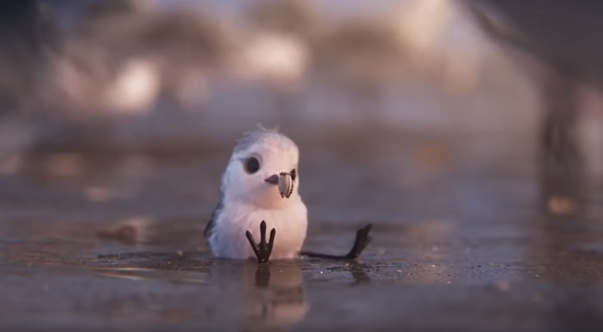 pixar short bird beach