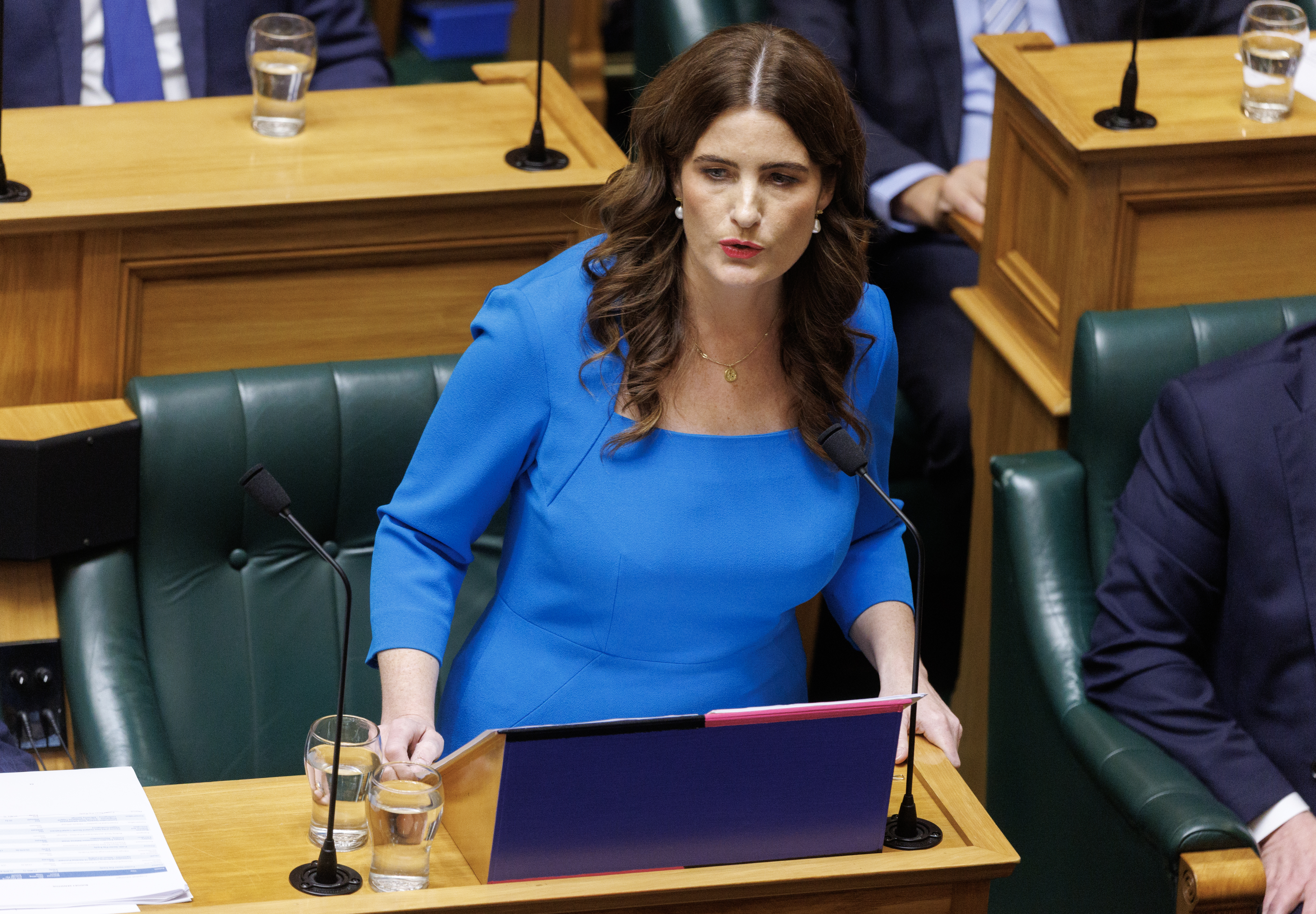 Finance Minister Nicola Willis says an almost $261-a-year Government contribution to eligible KiwiSaver members is affordable. Photo / Mark Mitchell