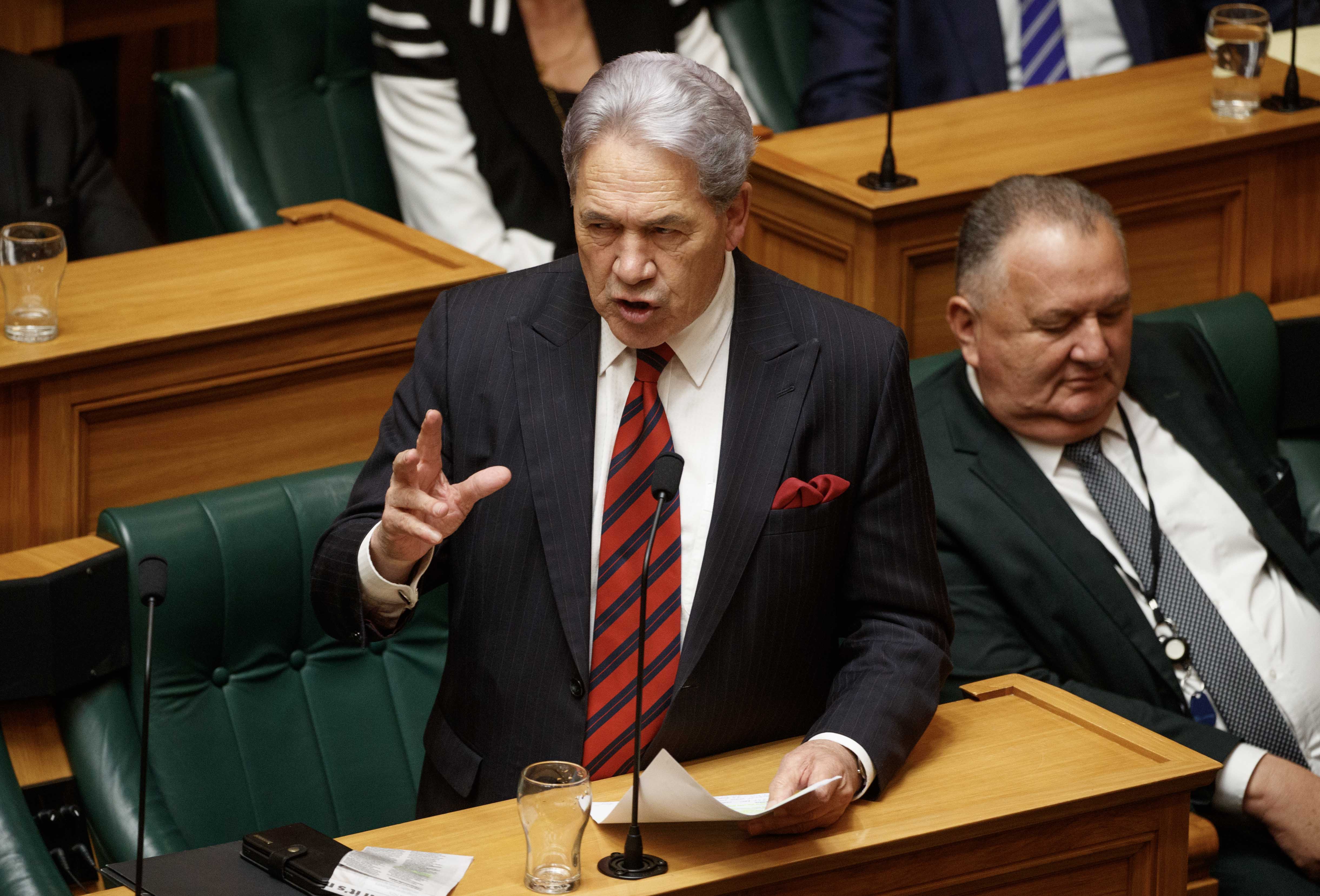 Deputy Prime Minister and NZ First leader Winston Peters (left) and NZ First MP and Cabinet minister Shane Jones (right). Photo / Mark Mitchell  