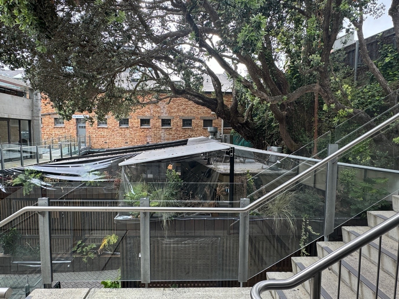 Milenta, the restaurant in Auckland's Victoria Park Markets which neighbours have complained about.
