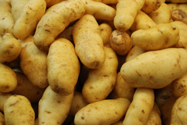 Gnocchi-image