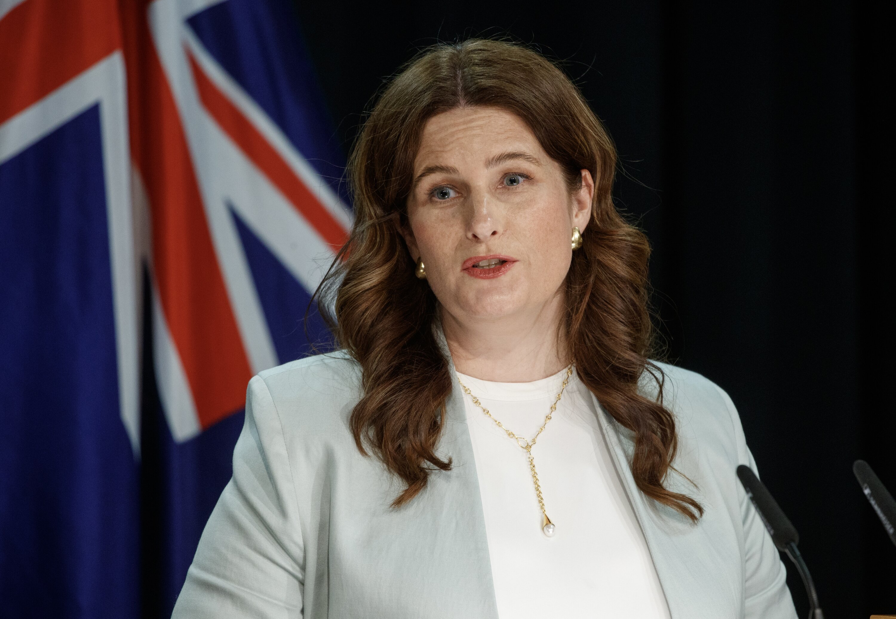 Finance Minister Nicola Willis said the era of crushing inflation was over. Photo / Mark Mitchell