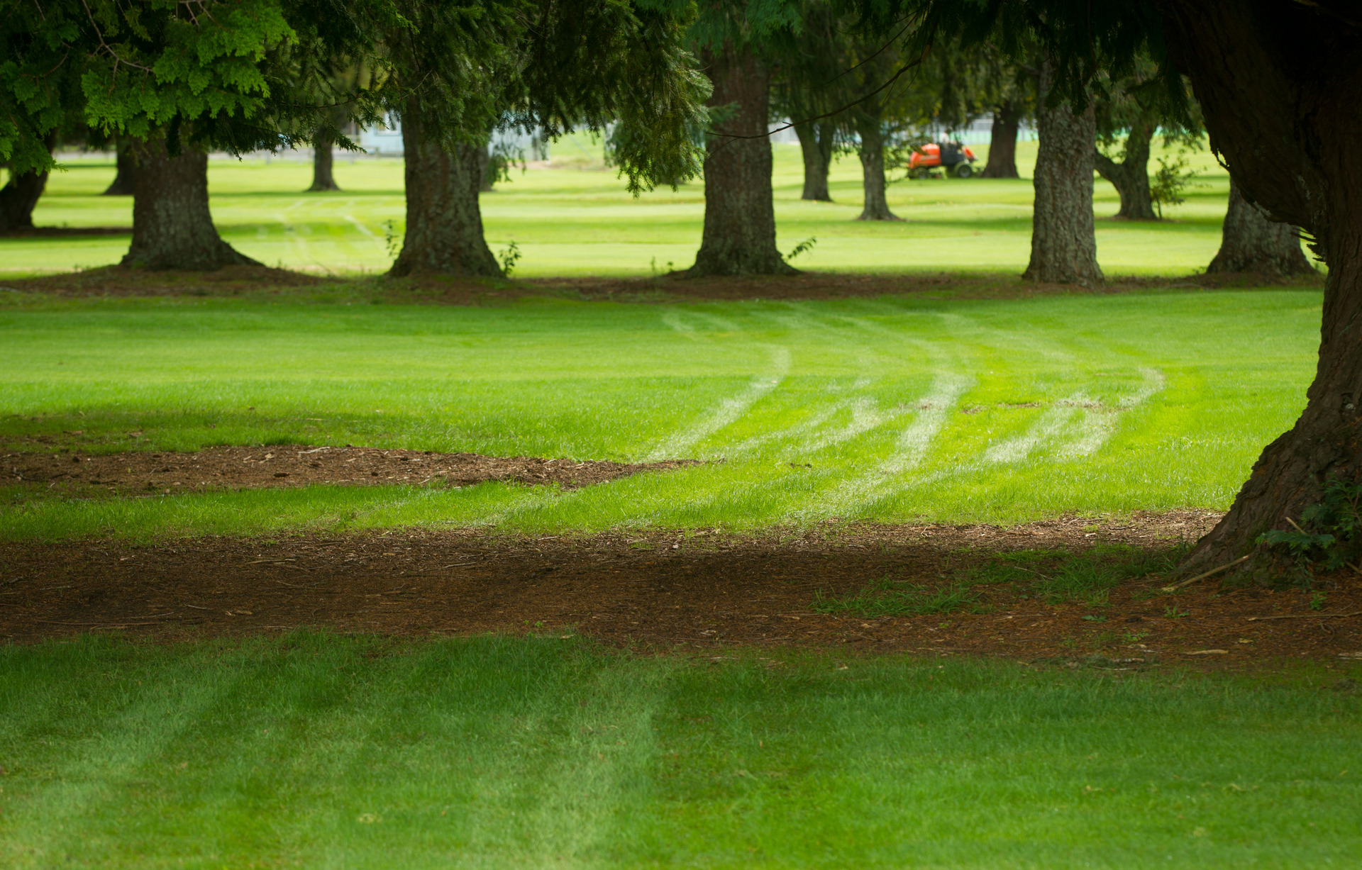 Springfield Golf Course. Photo / File