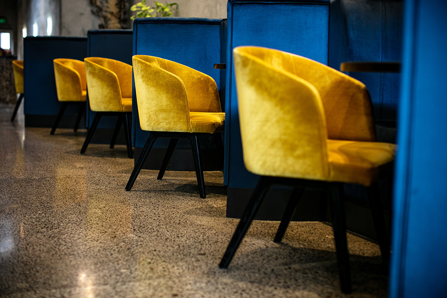 Lillius have loosened up the a la carte options. Photo / Babiche Martens