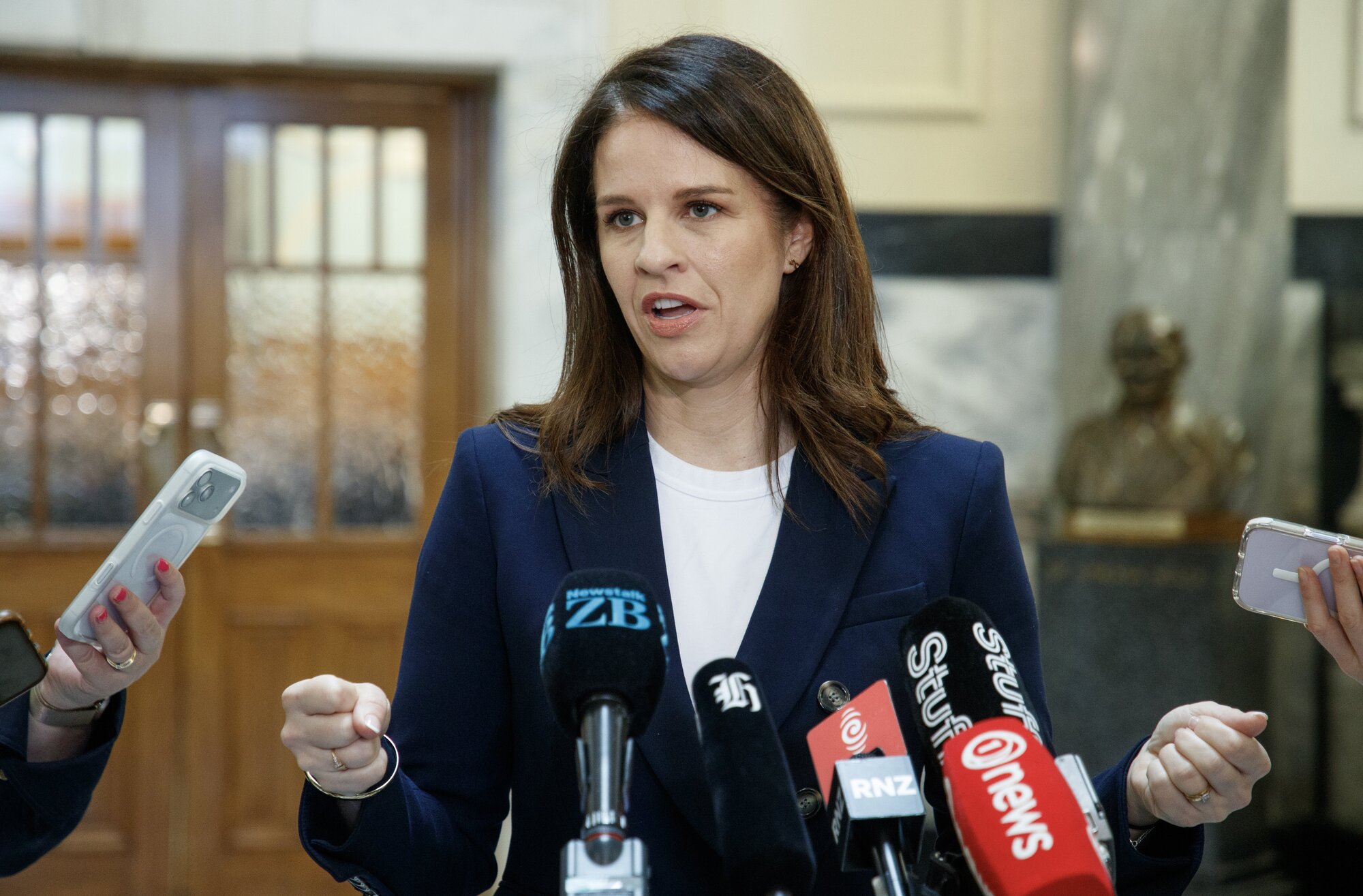National's Erica Stanford is in charge of the work on social media regulations. Photo / Mark Mitchell