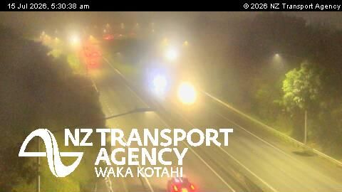NZTA's traffic camera on the Bader Drive overbridge in Māngere showed fog on State Highway 20 around 5.30am.
