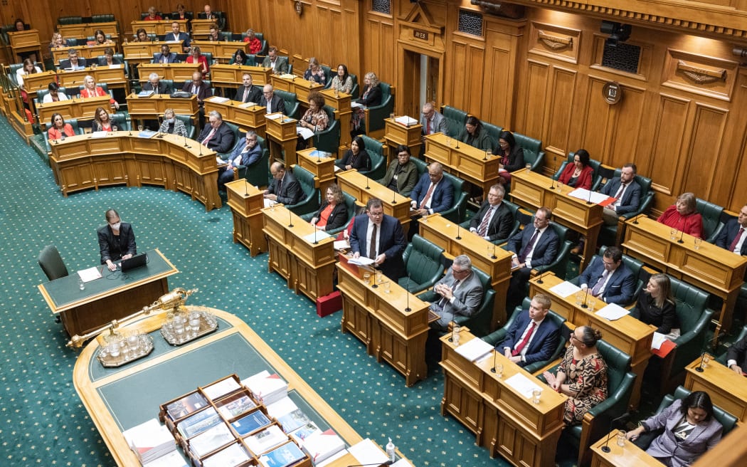 Parliament's debating chamber. Photo / Phil Smith