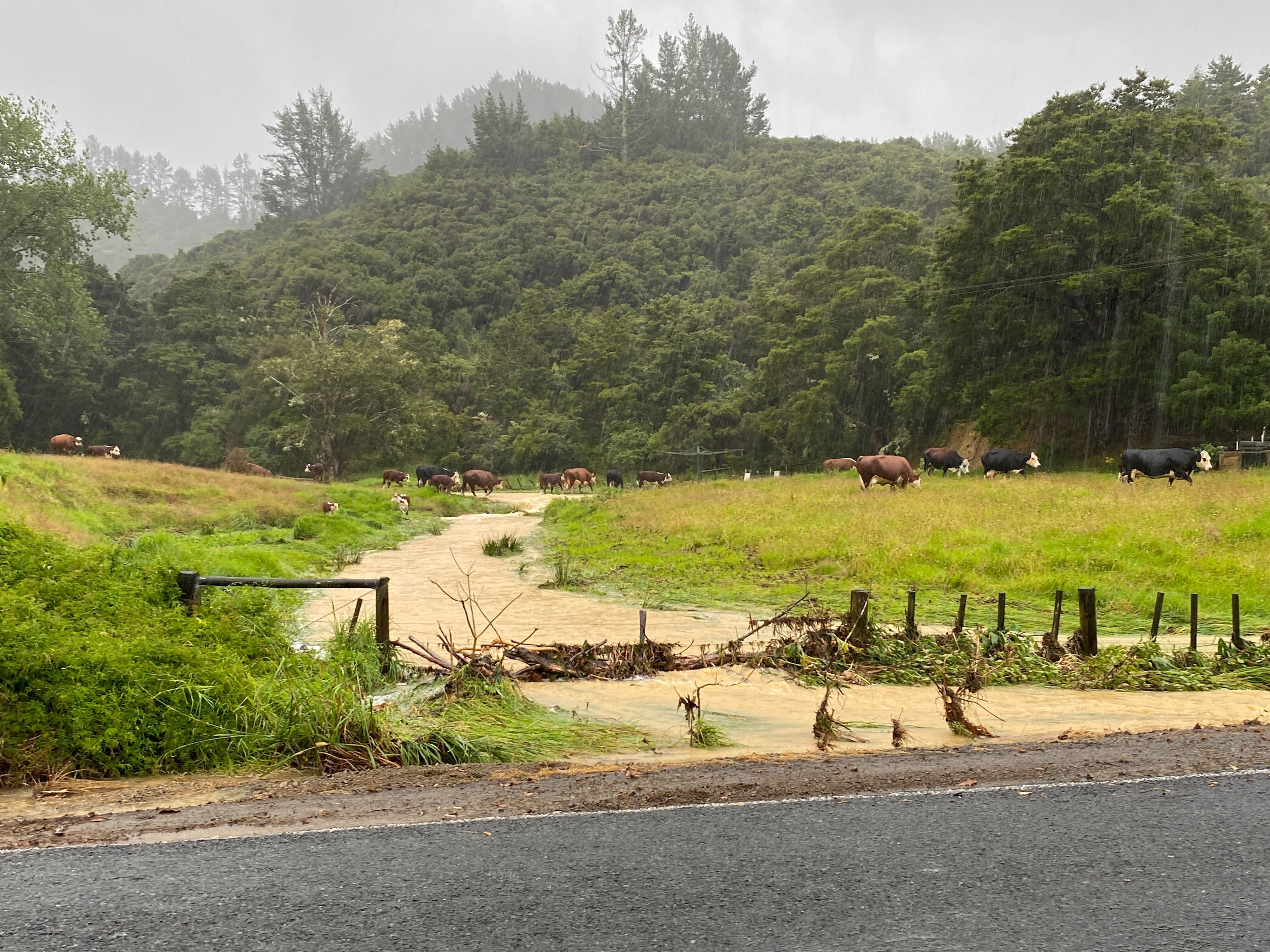 There was widespread flooding northeast of Whangārei. Photo / Denise Piper