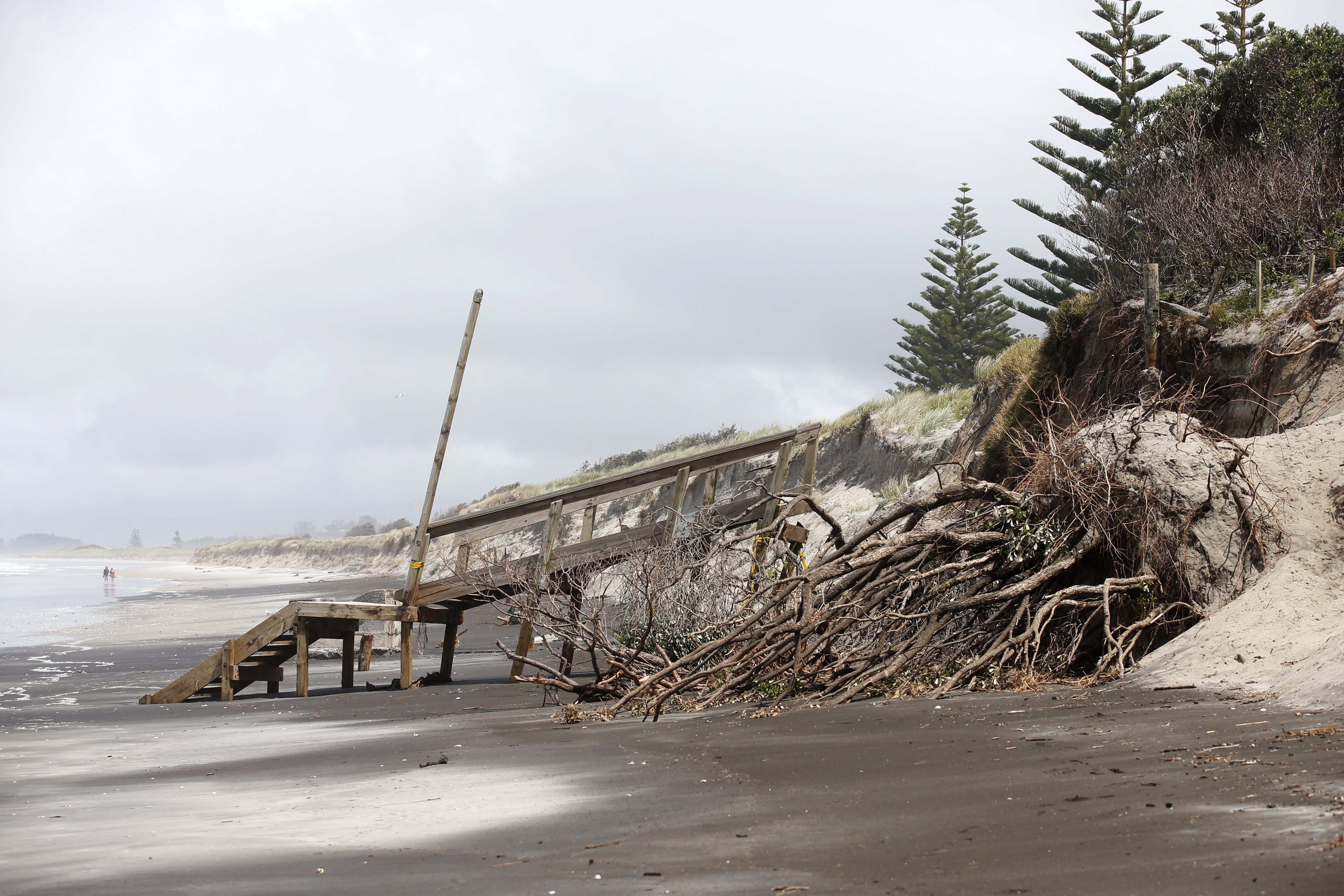 Coastal erosion and damage to Whangārei District parks and reserves amount to $3 million so far. Photo / Michael Cunningham