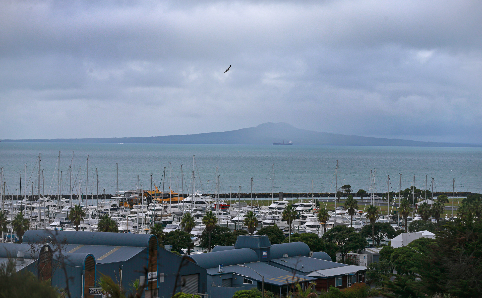 Gulf Harbour Marina Whangaparāoa peninsula. Photo / Alex Burton 