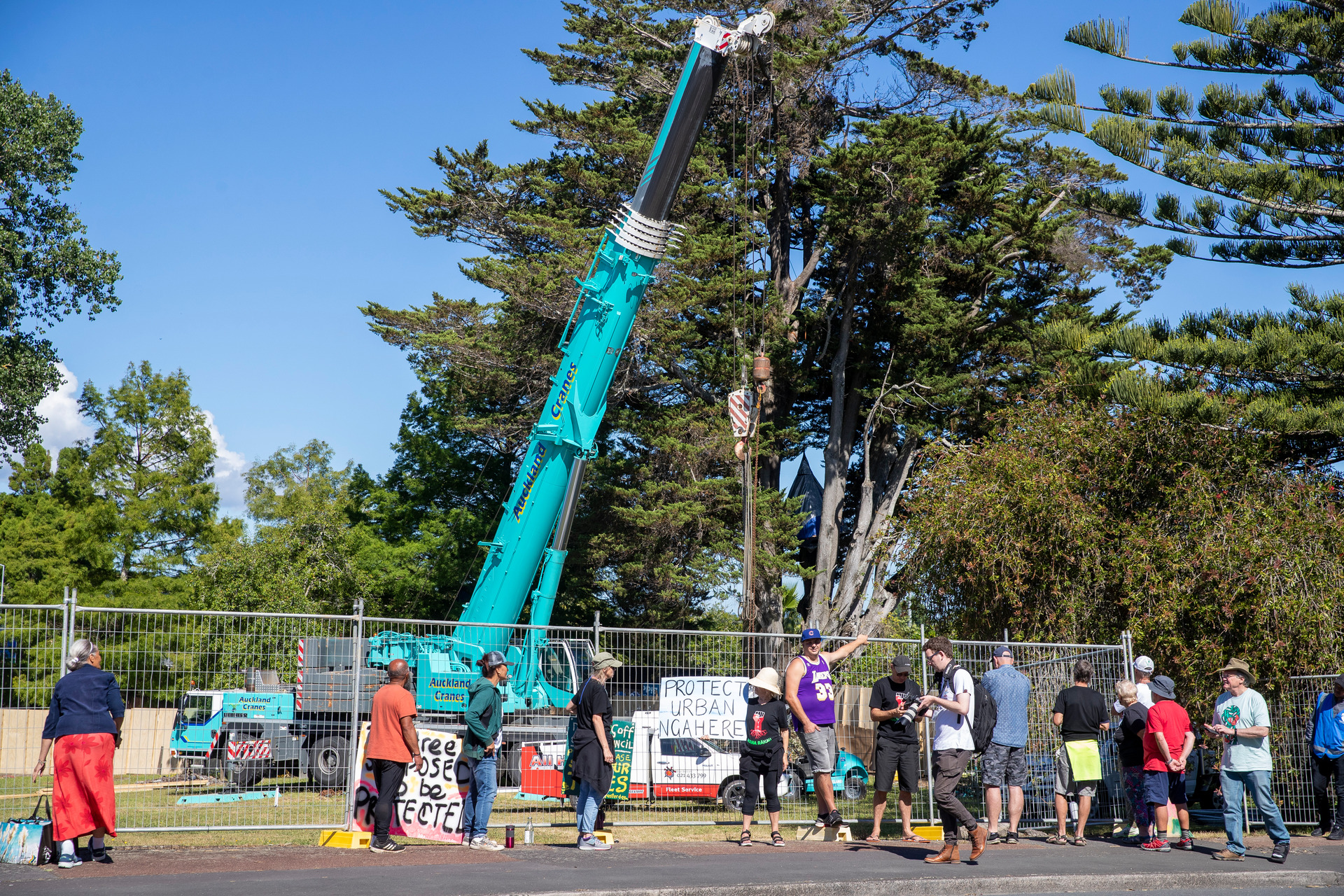 Local residents demonstrate at the macrocarpa tree scheduled for felling by the developer Ockham on Ash St, Avondale. Photo / Michael Craig
