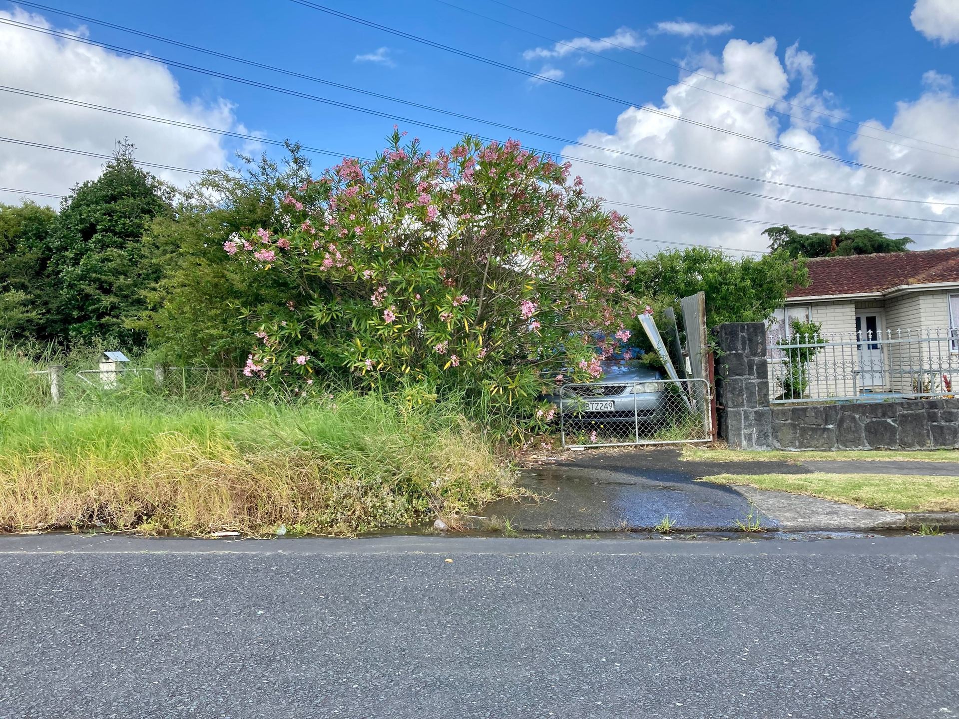 The Otara property's front yard is so overgrown it has merged with the berm and obscured the footpath. Photo / Michael Craig
