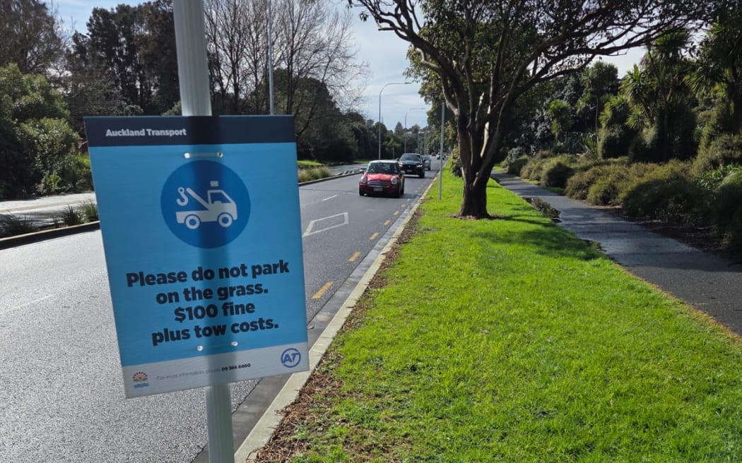 Motorists are ignoring signs about parking on Meola Rd. Photo / RNZ