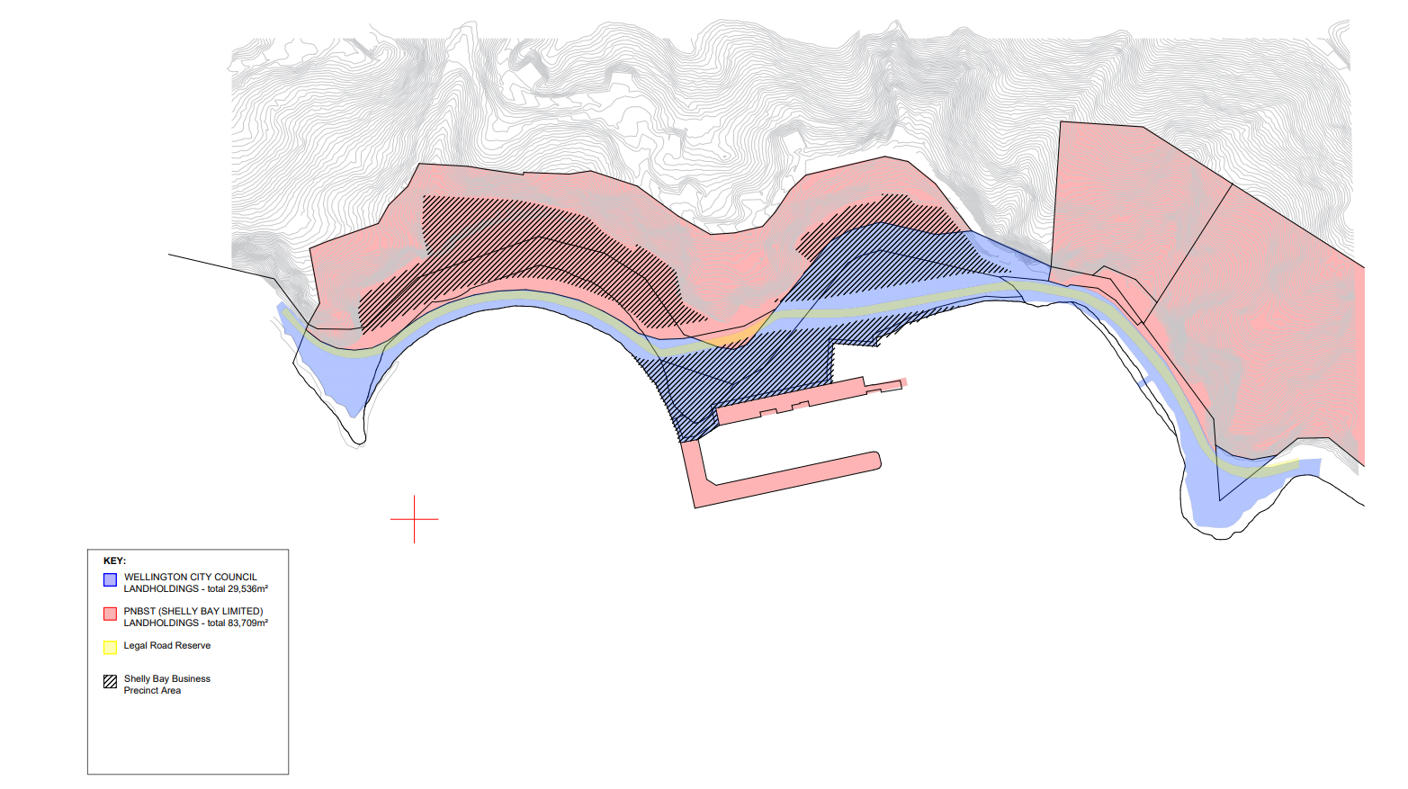 A graphic showing the ownership split at Shelly Bay, red representing privately owned land and blue representing council owned land. Photo / Supplied.