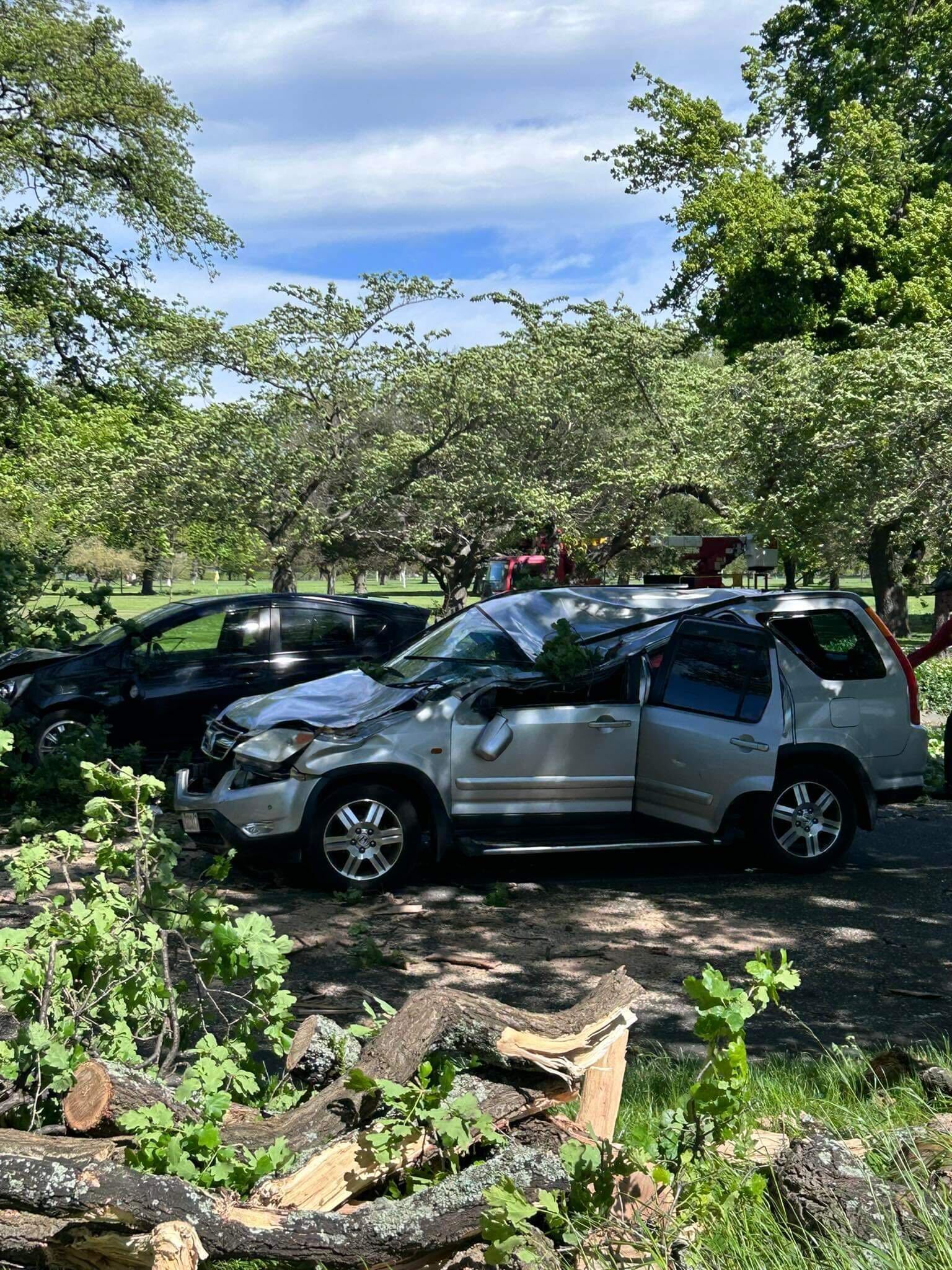 A tree came down on a vehicle at Harper Ave in Hagley Park, Christchurch during severe winds today. No one was believed to have been injured. 