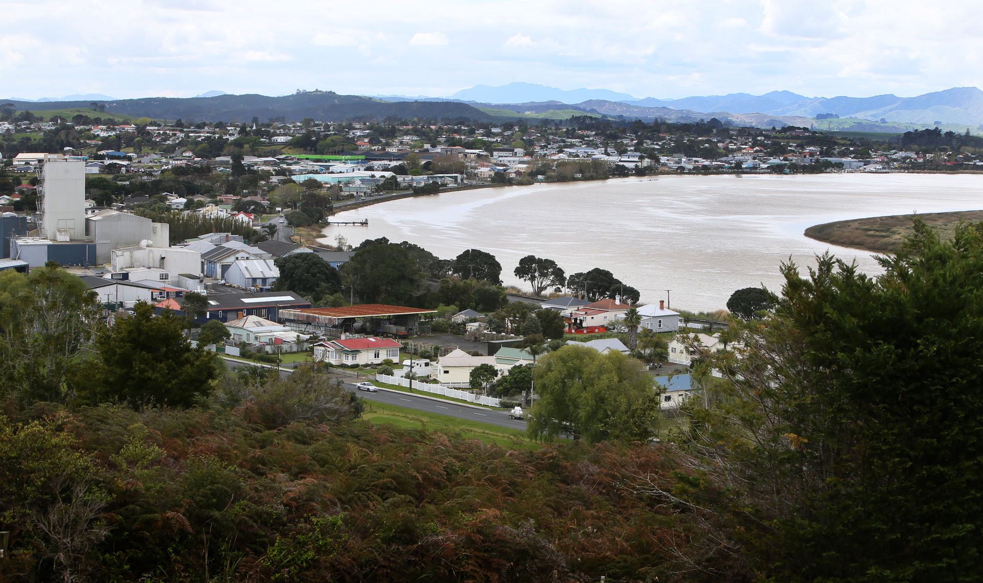 The Northern Wairoa River, which closely hugs the town of Dargaville, has been found with levels of aluminium so high it is potentially toxic to fish. Photo / Tania Whyte