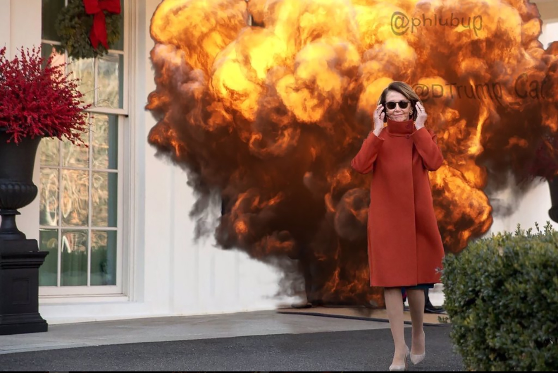 Pelosi GIFs