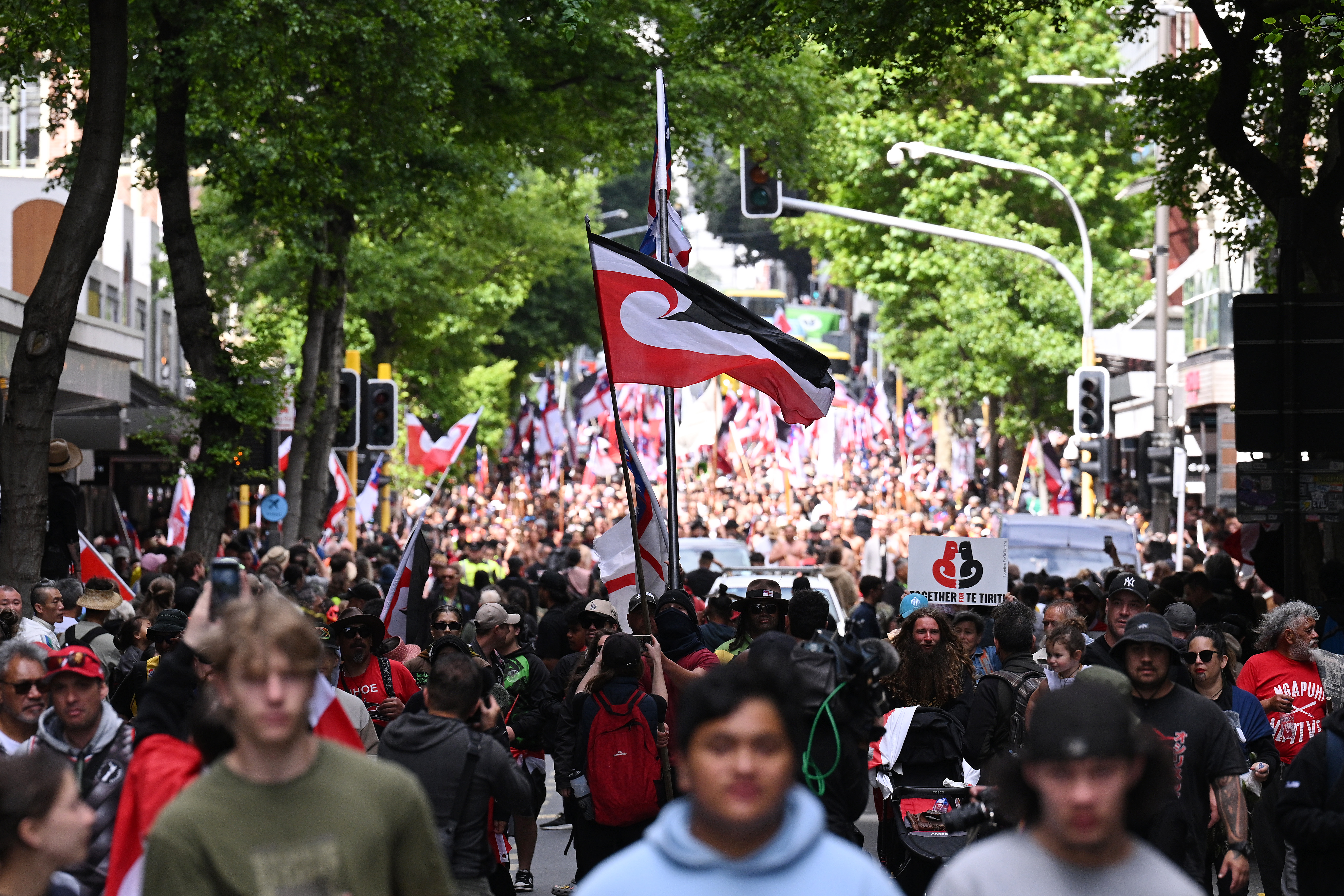 There is no political incentive for either Christopher Luxon or Winston Peters to take a position on the Treaty Principles Bill, despite the strong feelings it inspired, Matthew Hooton argues. Photo / Getty Images