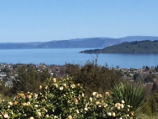 Lake Taupo from the Waipahihi Botanical Reserve.