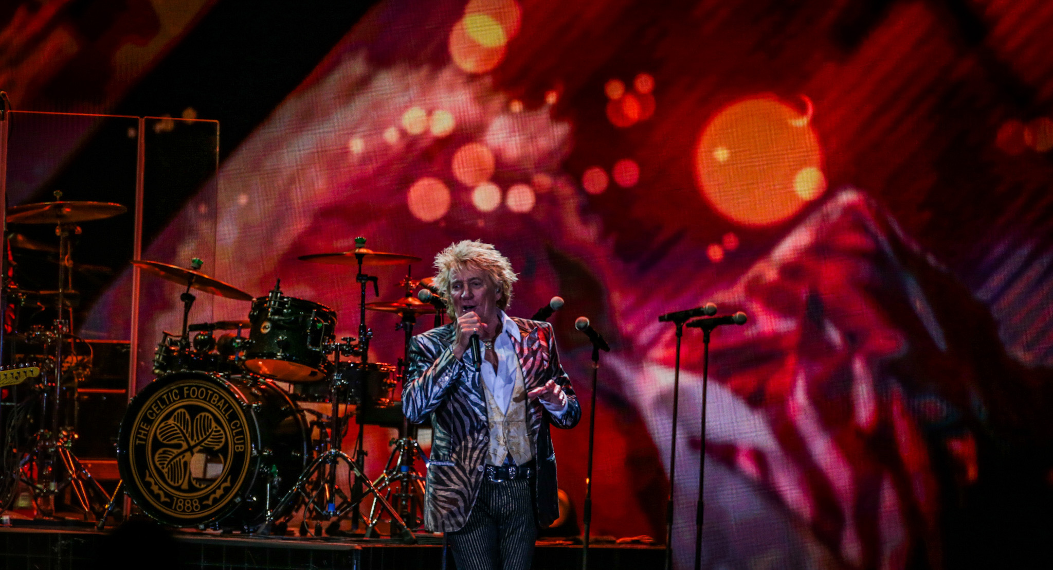 Rod Stewart makes the most of a full Mission Estate paddock. Photo / Paul Taylor