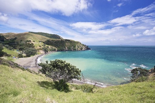 Fletcher Bay in the Coromandel. Photo / Getty Images