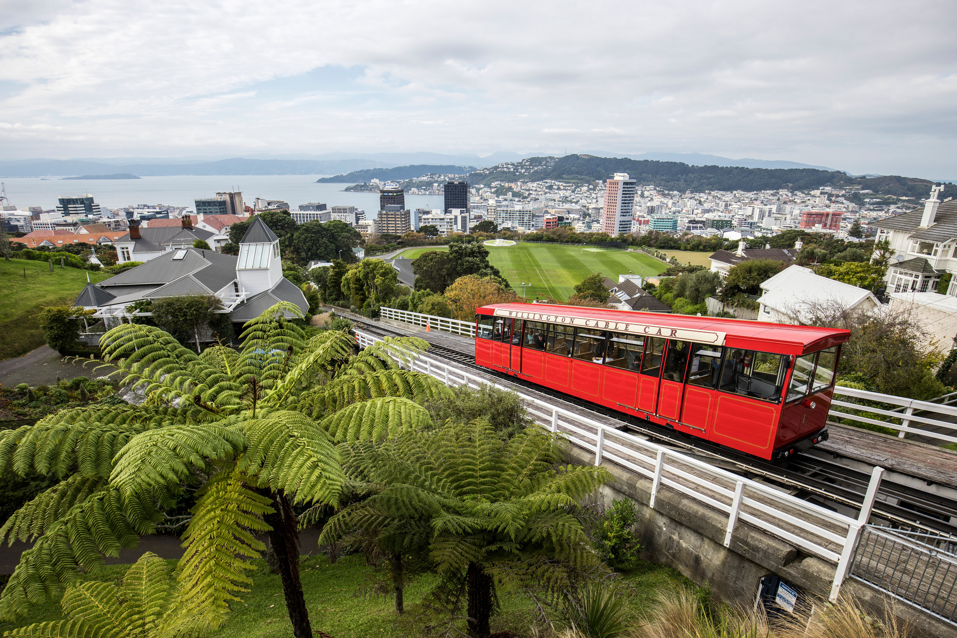 Wellington city has lots of spots to explore as a family. Photo / Graeme Murray
