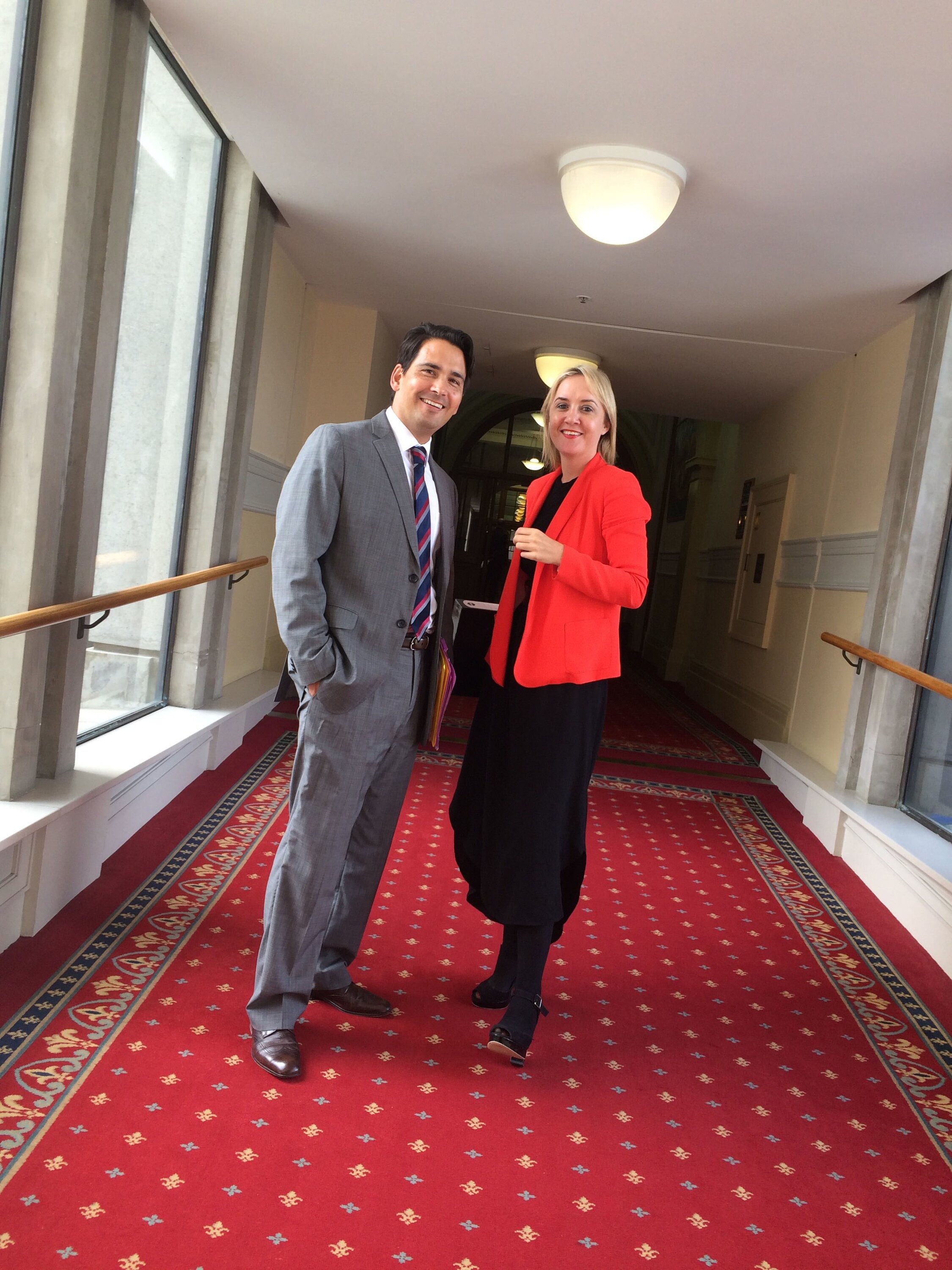 Nikki Kaye and Simon Bridges were the outstanding MPs of their generation, seen here at Parliament in February 2016. Photo / Audrey Young