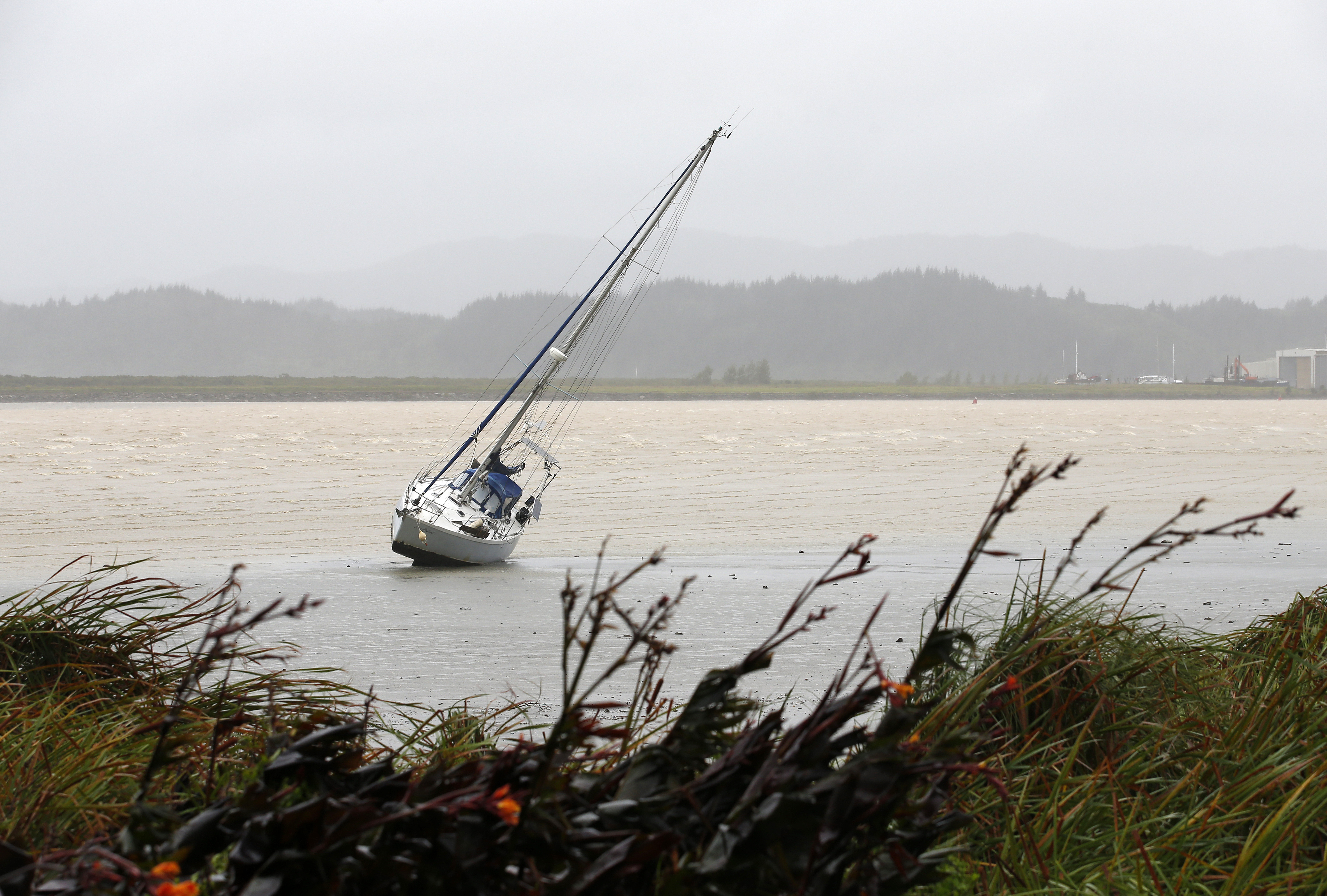 A total of 17 boats came ashore in Northland during Cyclone Gabrielle. Photo / Michael Cunningham