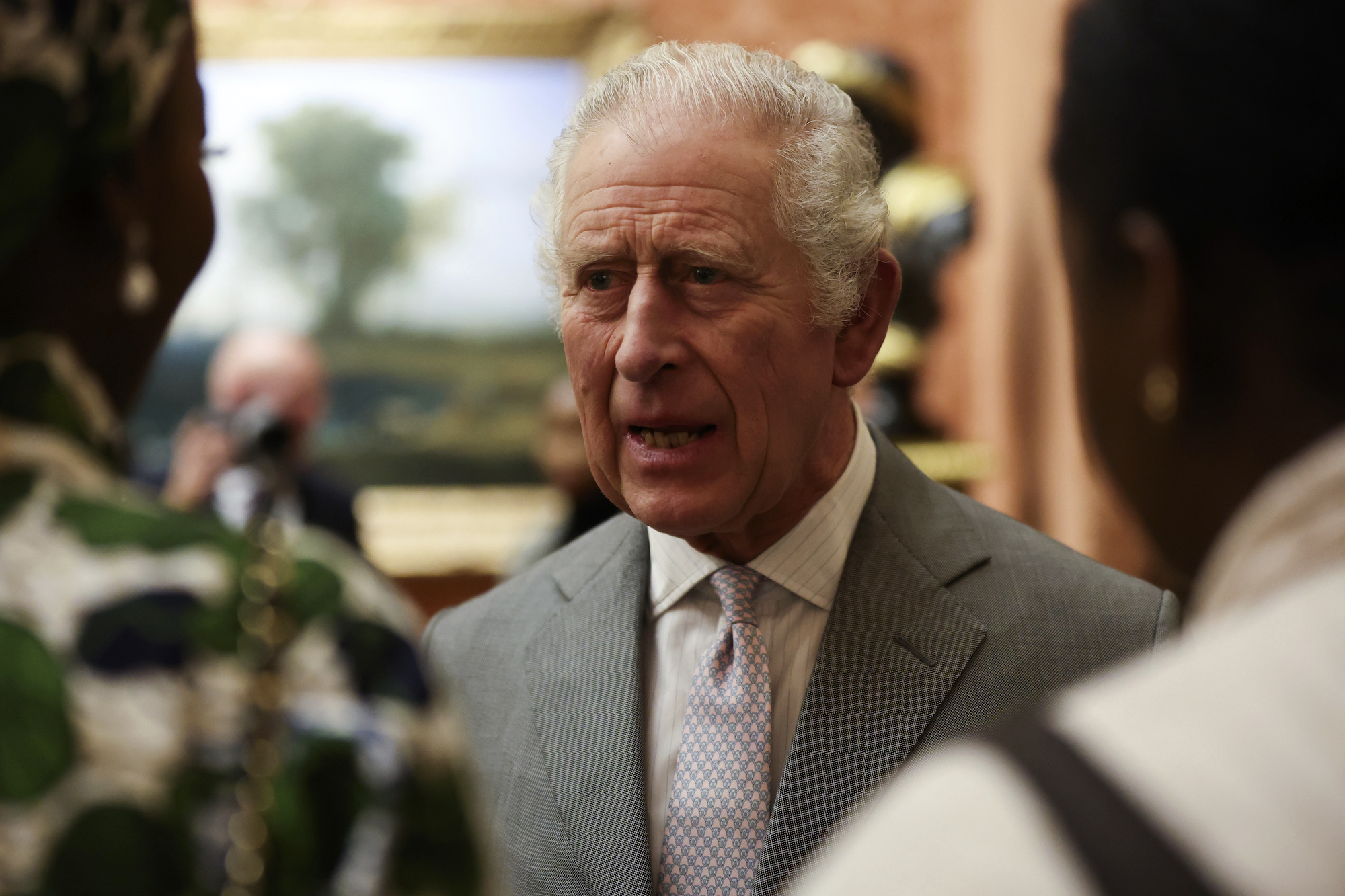 Britain's King Charles III speaks to guests during a reception at Buckingham Palace on November 16. Photo / AP
