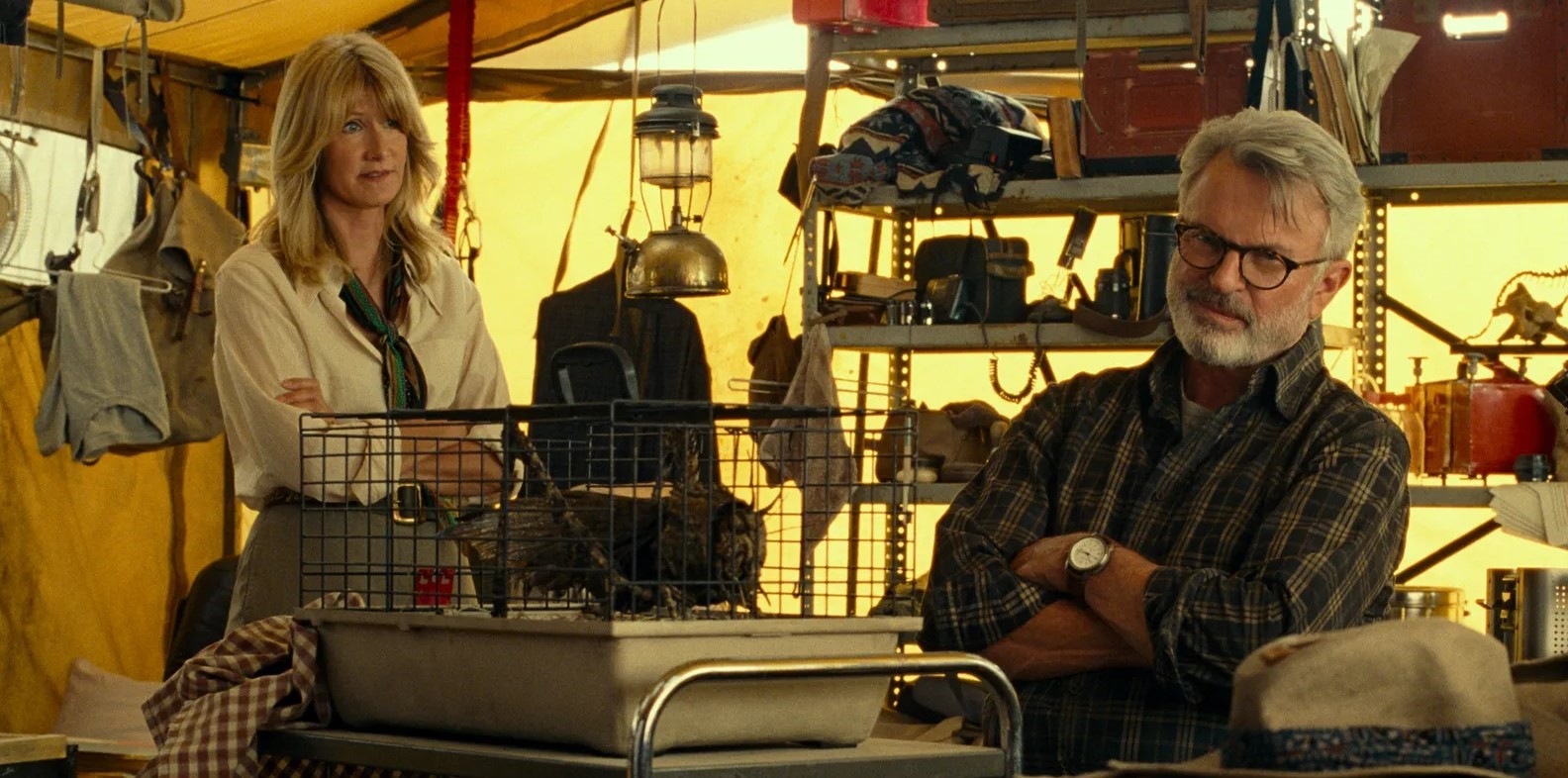 Laura Dern as Dr. Ellie Sattler and Sam Neill as Dr. Alan Grant in Jurassic World Dominion. Photo / Universal Studios
