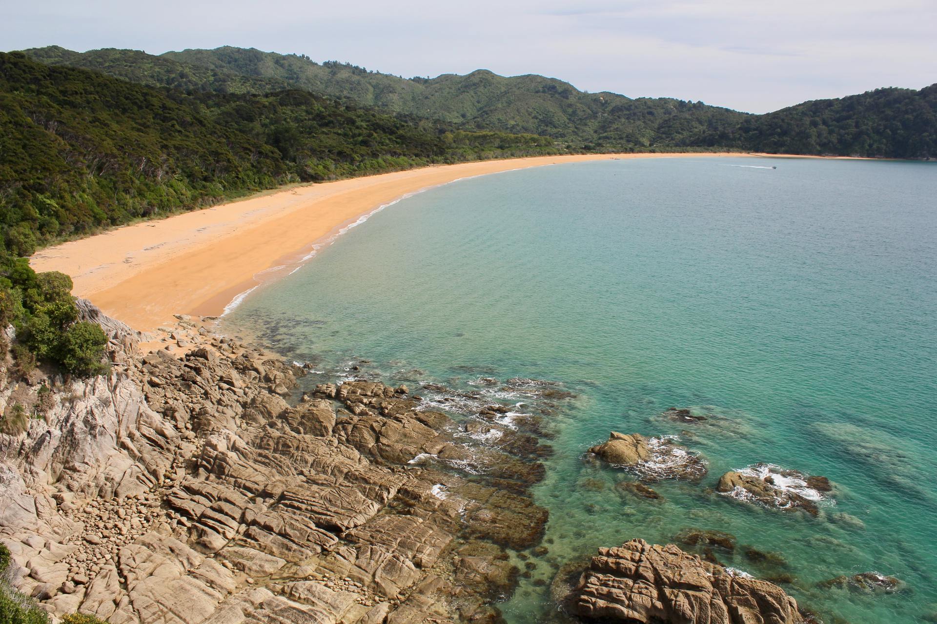 Demand for Totaranui Beach in Tasman briefly broke the DoC Booking Website this morning. Photo /David Tip, Unsplash