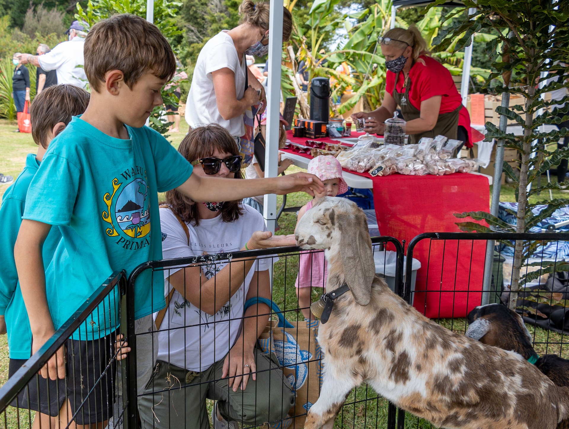 Lachlan Scown and Carey Scown with Ashley the Anglo Nubian goat at the Belle Chevre tent. Photo / Donna Russell