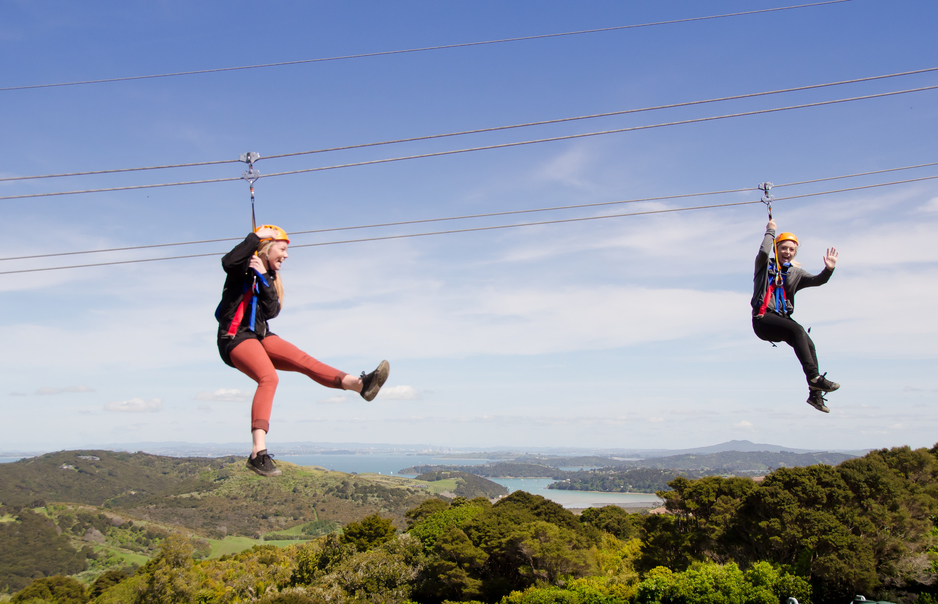 Flightseeing on Waiheke with EcoZip Adventures is one way to sail above the trees in NZ. Photo / Supplied