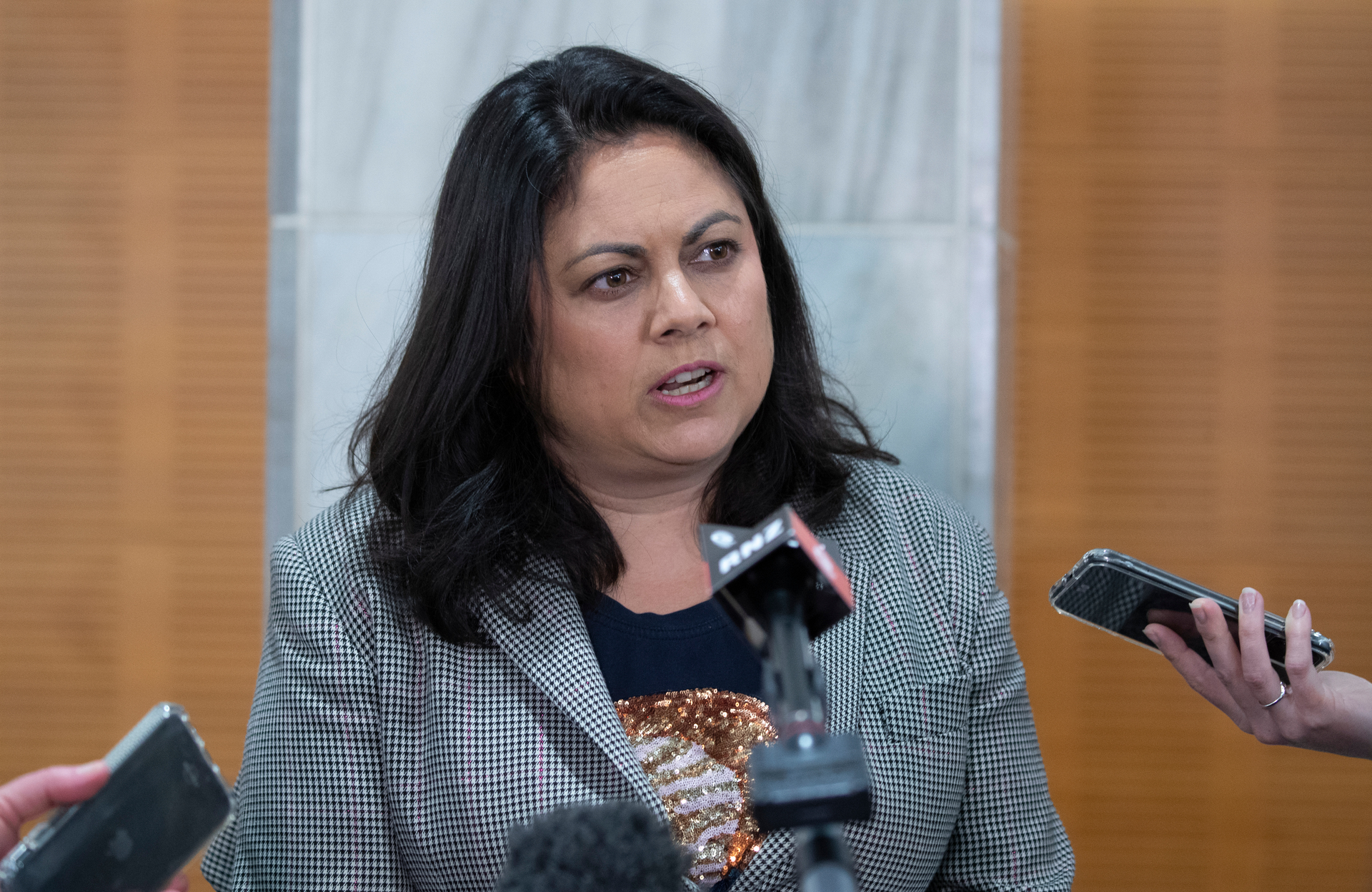 Associate Health Minister Ayesha Verrall. Photo / Mark Mitchell