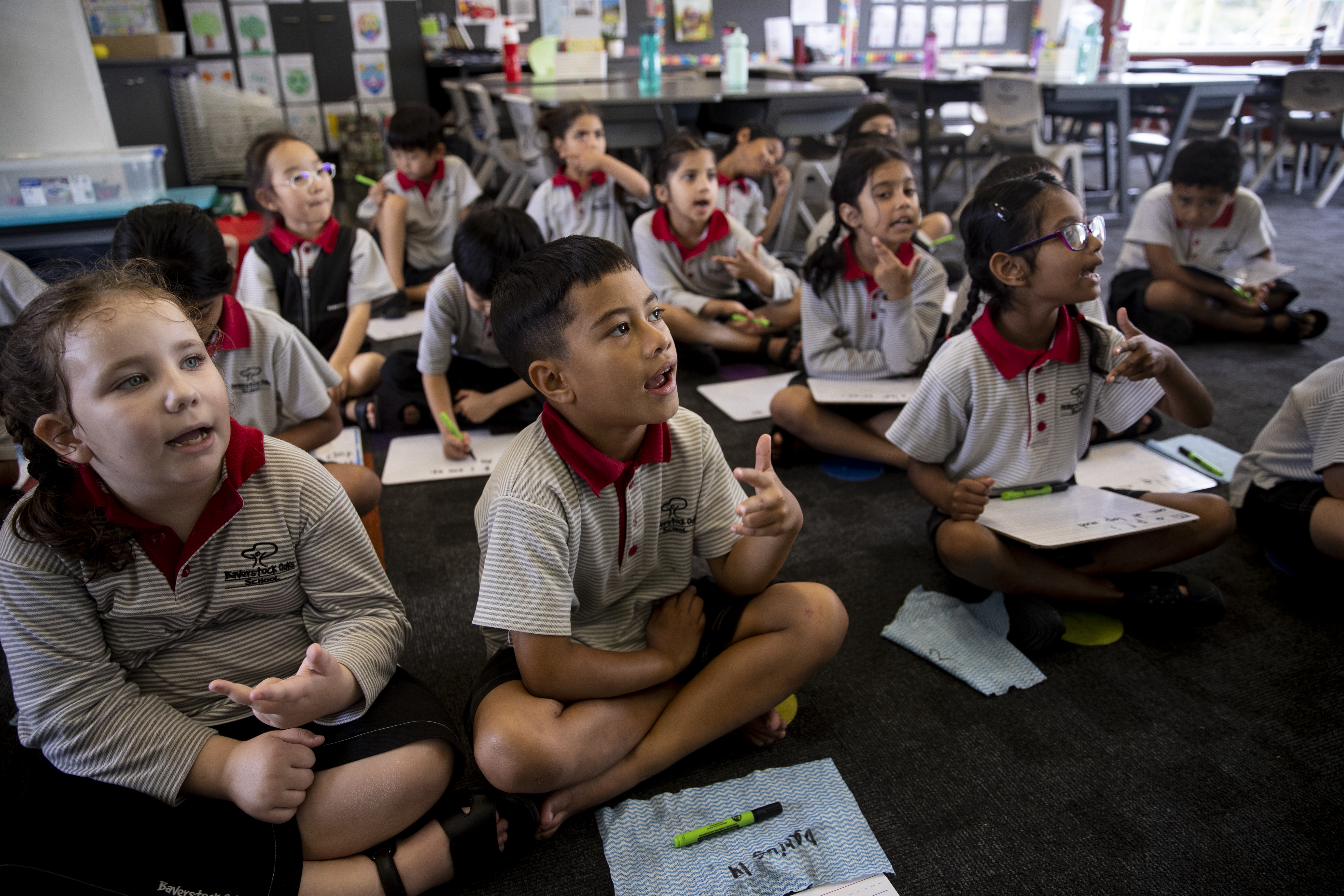 Year two students from Baverstock Oaks Schoolin a structured literacy lesson. Photo / Dean Purcell