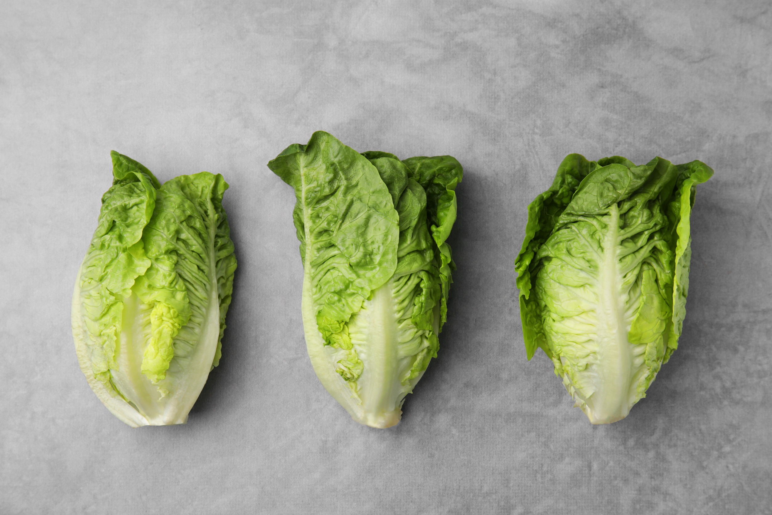Romaine sits at the top of the hierarchy among lettuce varieties. Photo / 123RF