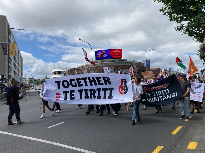 People march through Epsom, protesting the introduction of the Treaty Principles Bill in Parliament today. Photo / Jaime Lyth