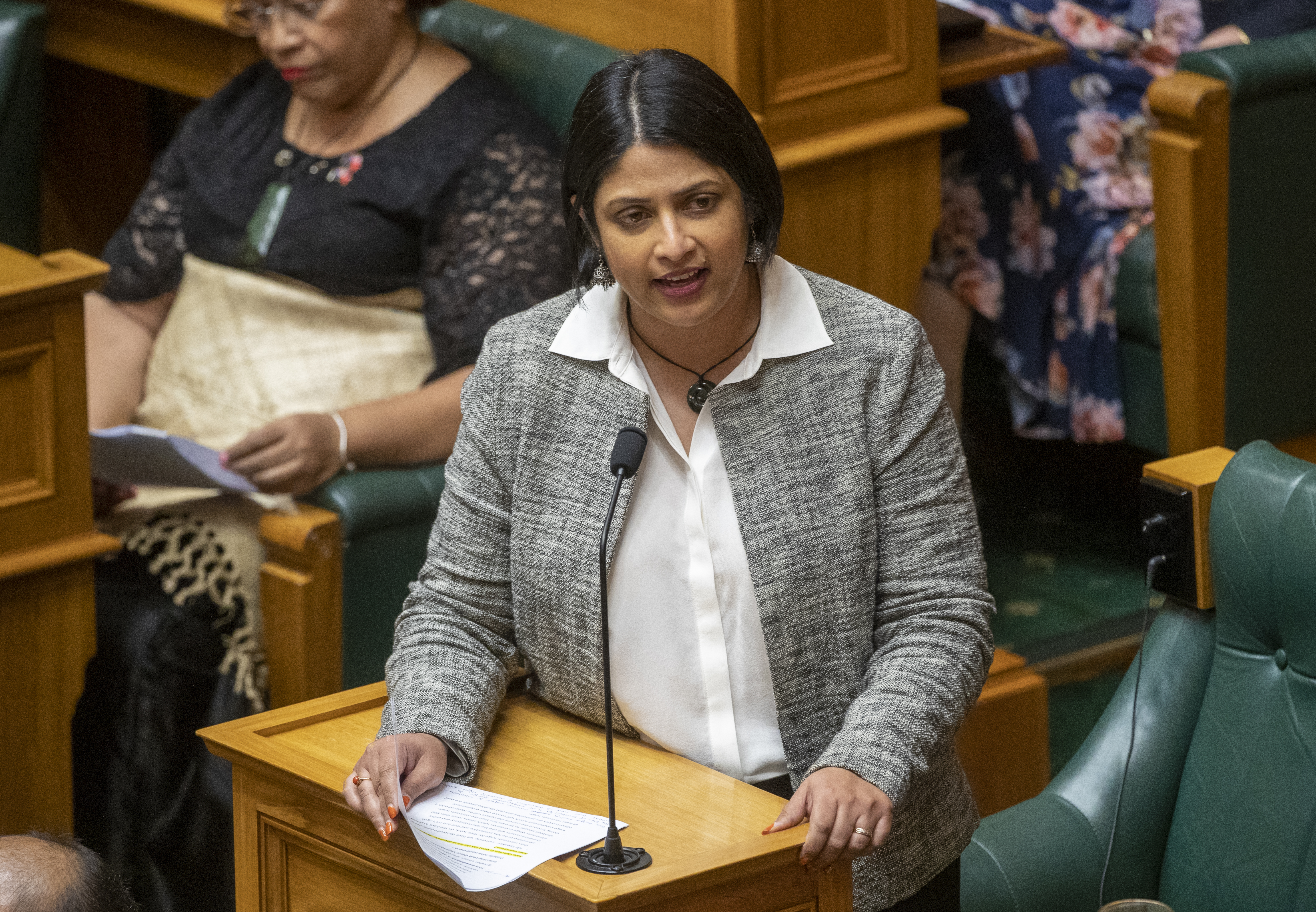 Labour's disability issues spokeswoman Priyanca Radhakrishnan. Photo / Mark Mitchell