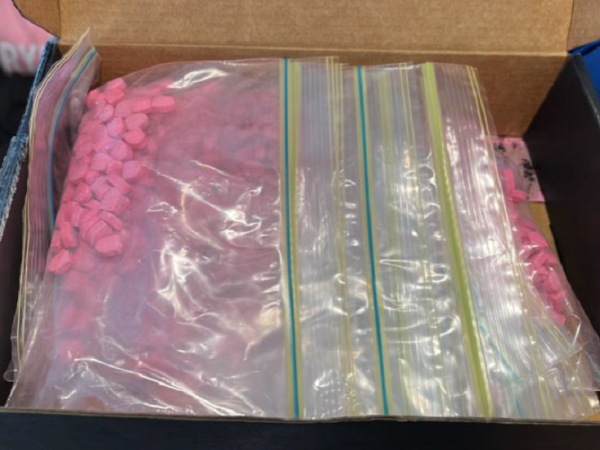 A joint New Zealand Police and New Zealand Customs investigation seized more than 1000 MDMA pills earlier this year. Photo / New Zealand Police