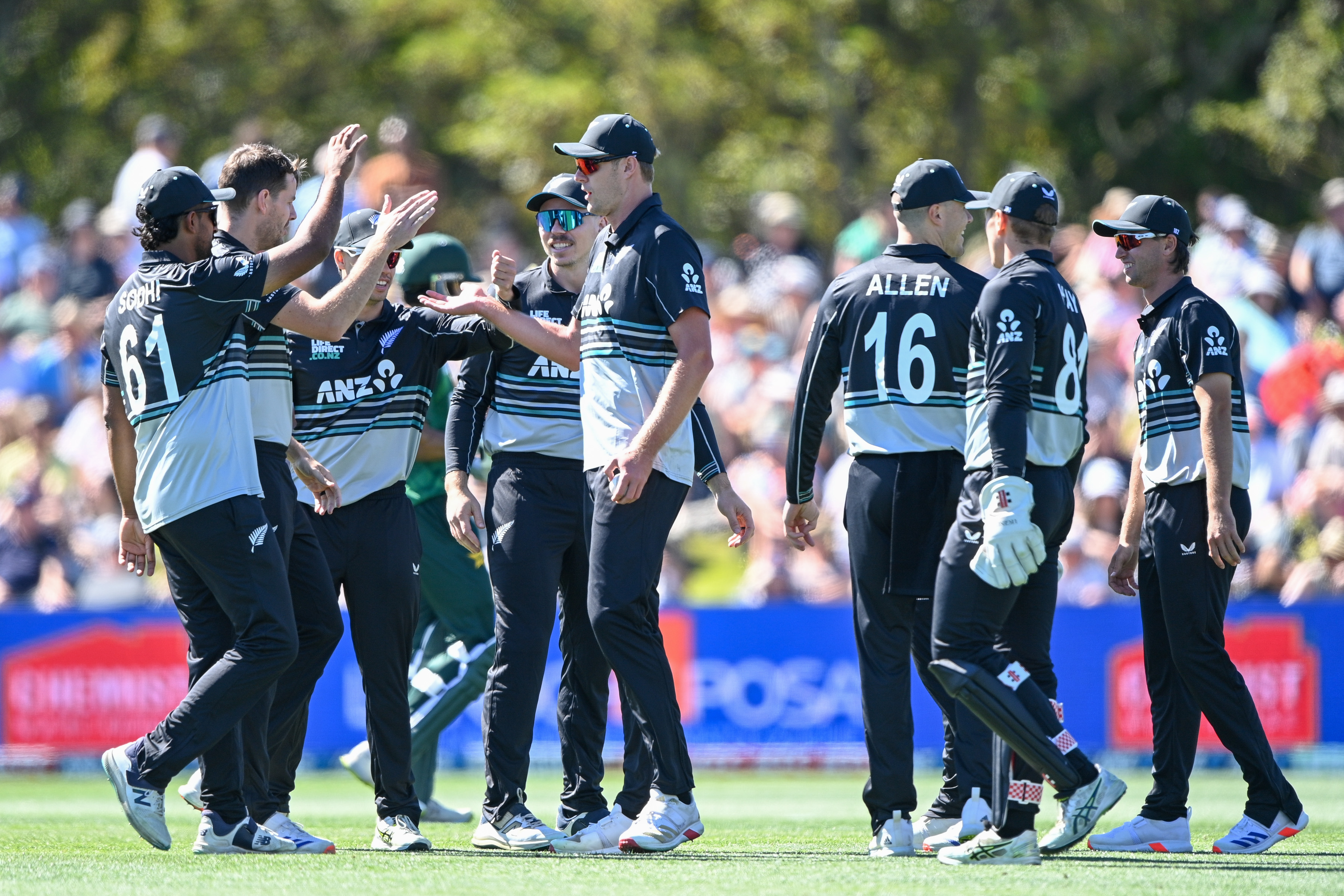The Blacks Caps celebrate a wicket during a recent T20 match against Pakistan. Photo / Photosport