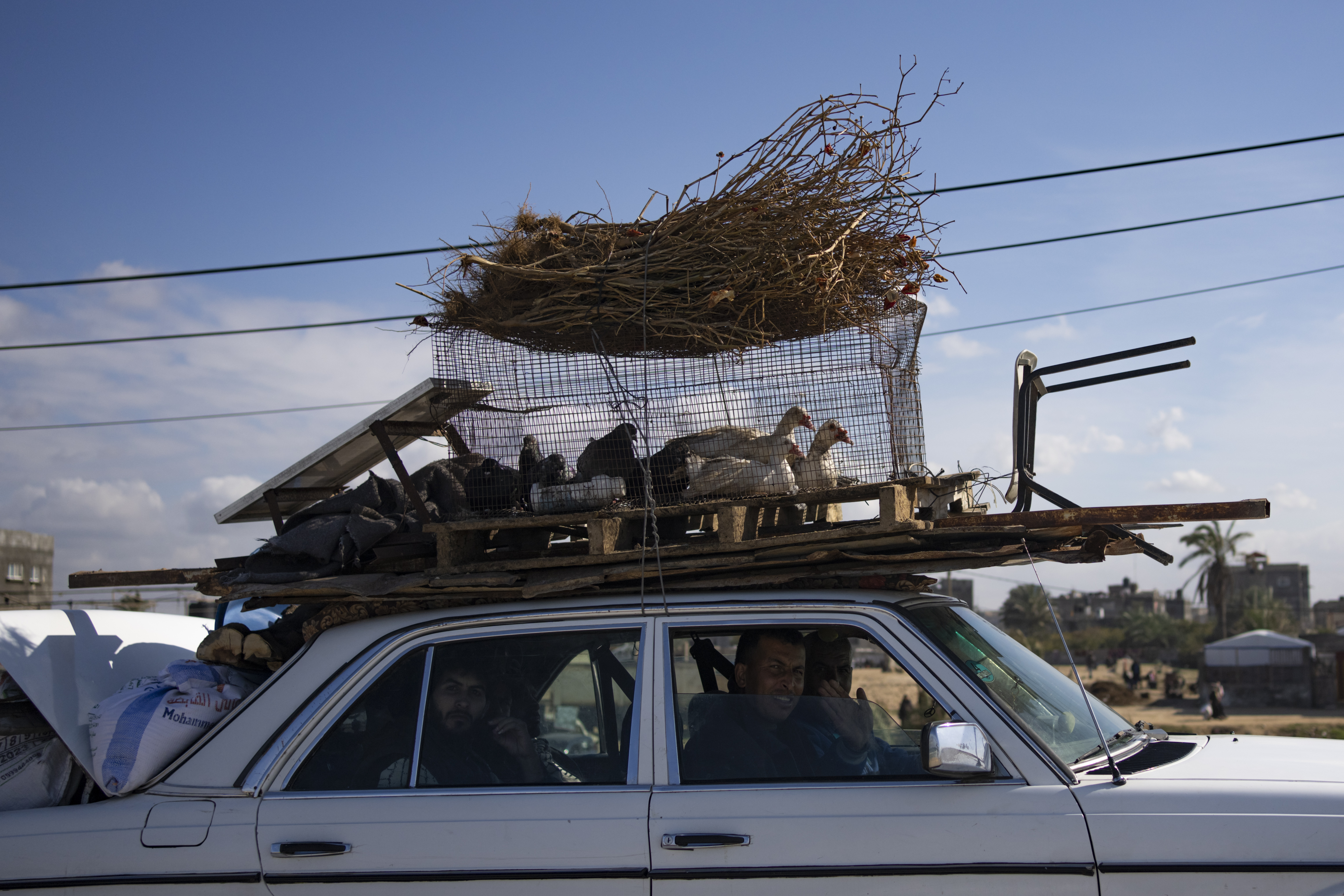 Palestinians arrive in the southern Gaza town of Rafah after fleeing an Israeli ground and air offensive in the nearby city of Khan Younis. Photo / AP