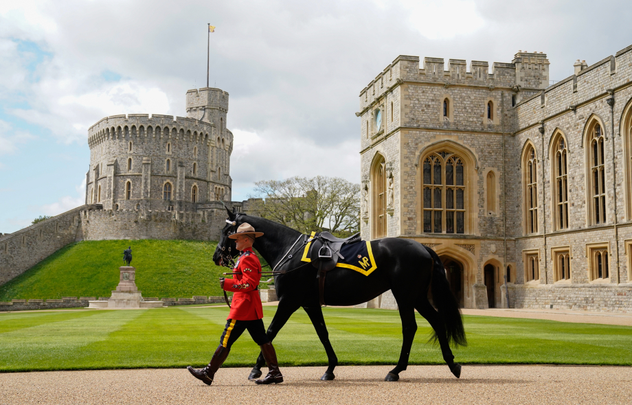 The Royal Canadian Mounted police present King Charles with a coronation Present. Photo / the Royal Household
