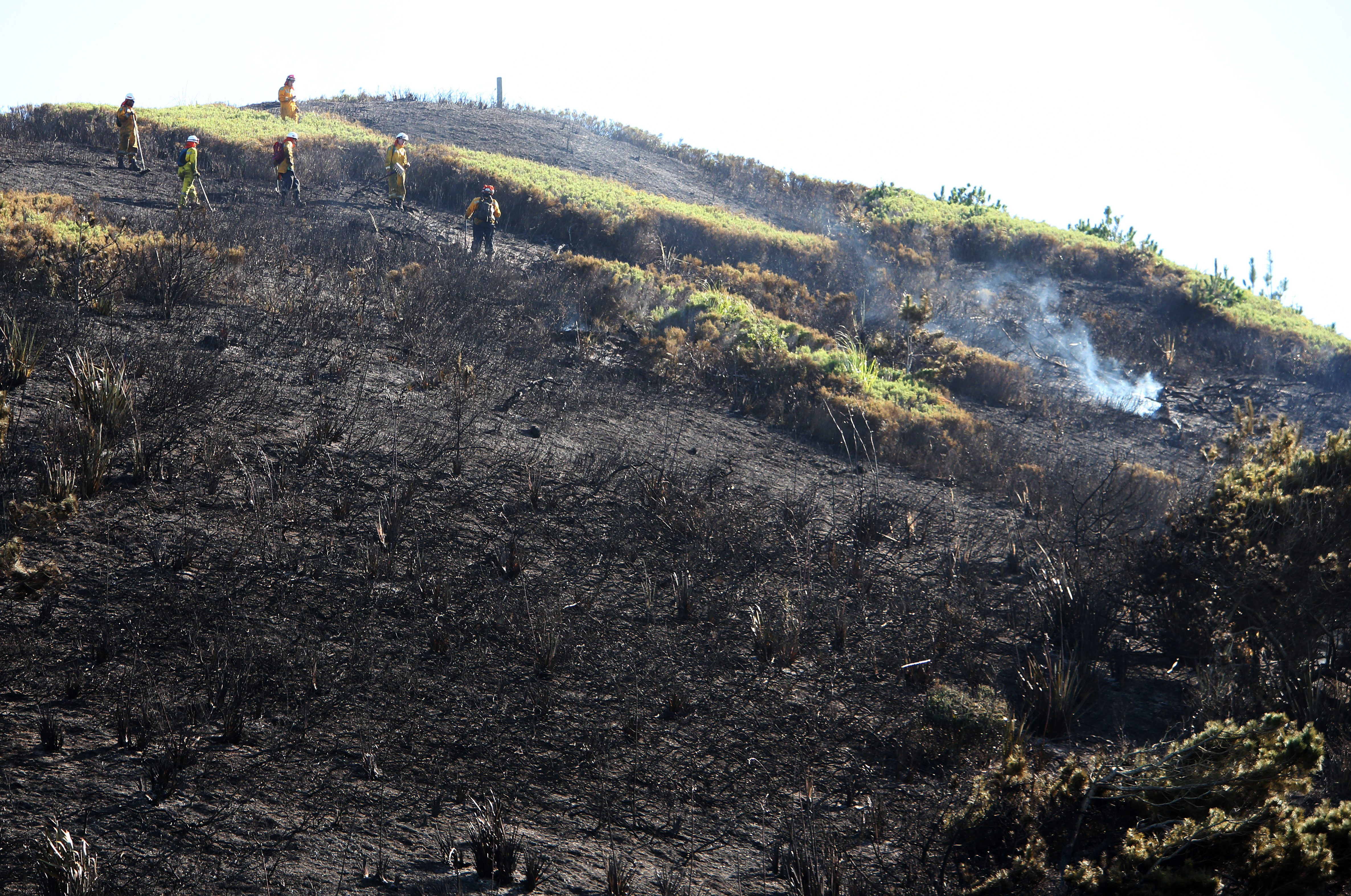 Authorities hope a fireworks ban at GlInks Gully, Kaipara, will prevent fires, after a series of suspicious fires hit the area in 2016. Photo / Michael Cunningham