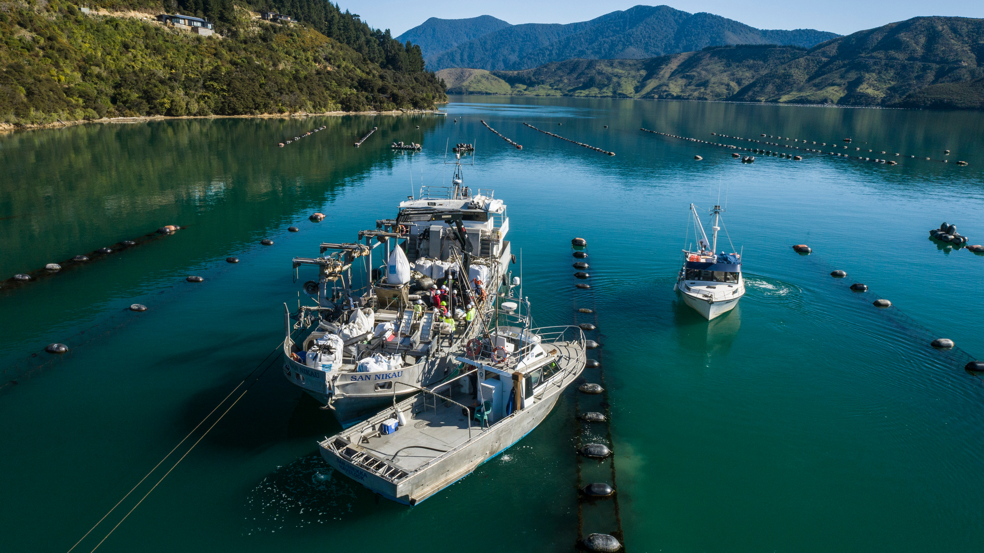 Ngāi Tahu is selling down its stake in Sanford. 